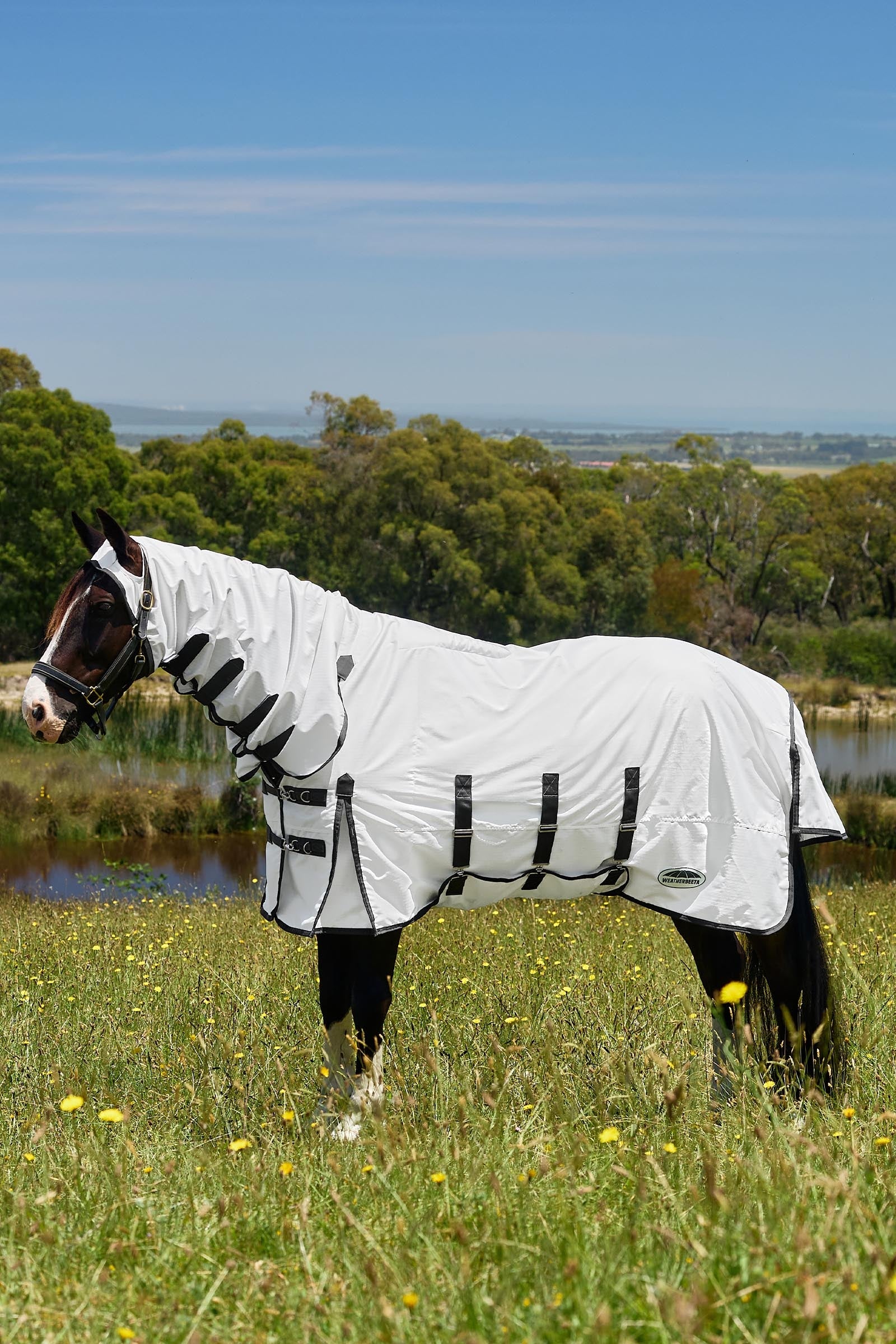 Weatherbeeta ComFiTec Sweet Itch Shield Fliegendecke Kombi s pevným krkem, 0 g Horse Rugs
