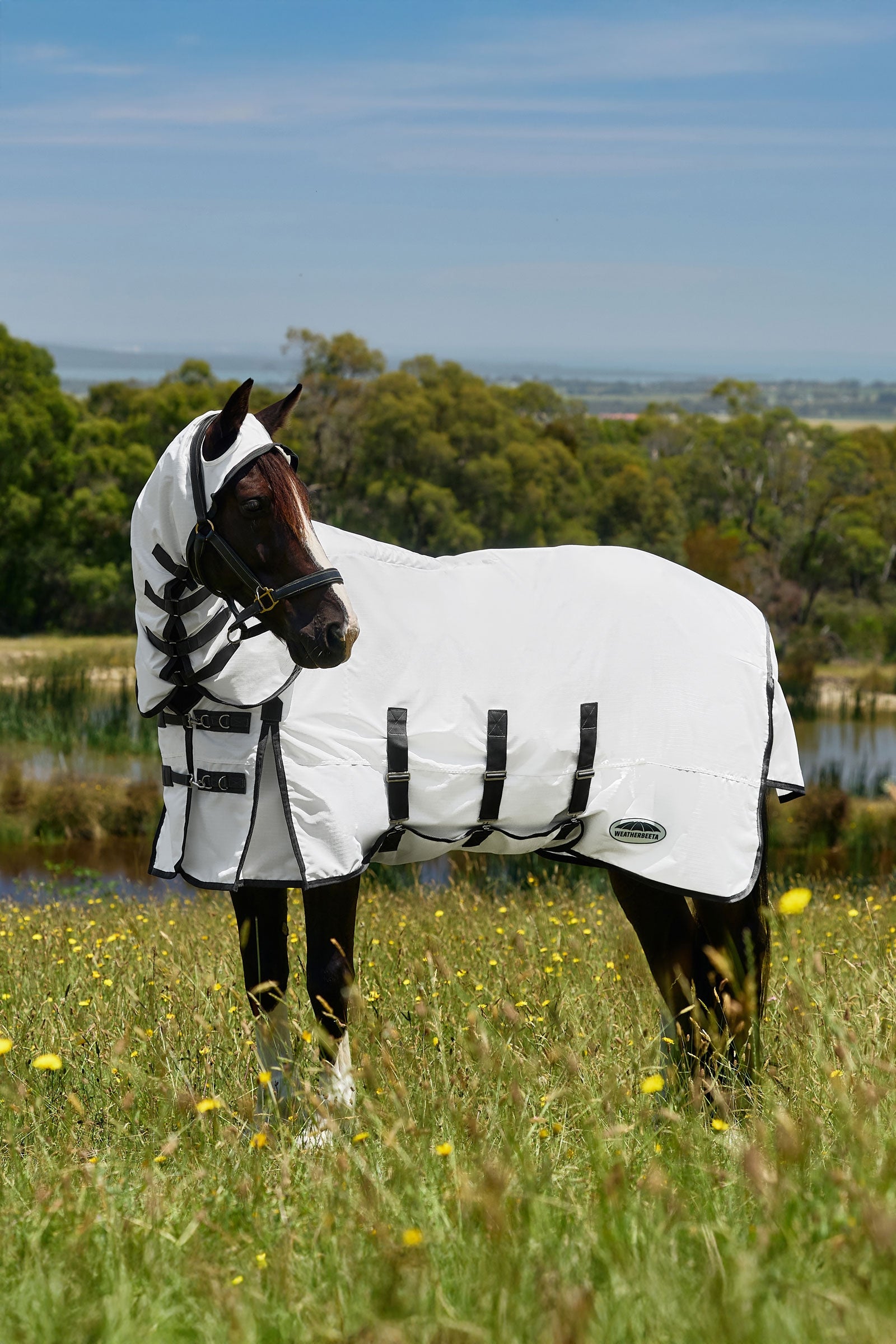 Weatherbeeta Comfitec Sweet Itch Shield Fly Sheet Combo W. Fixed Neck, 0g Horse Rugs