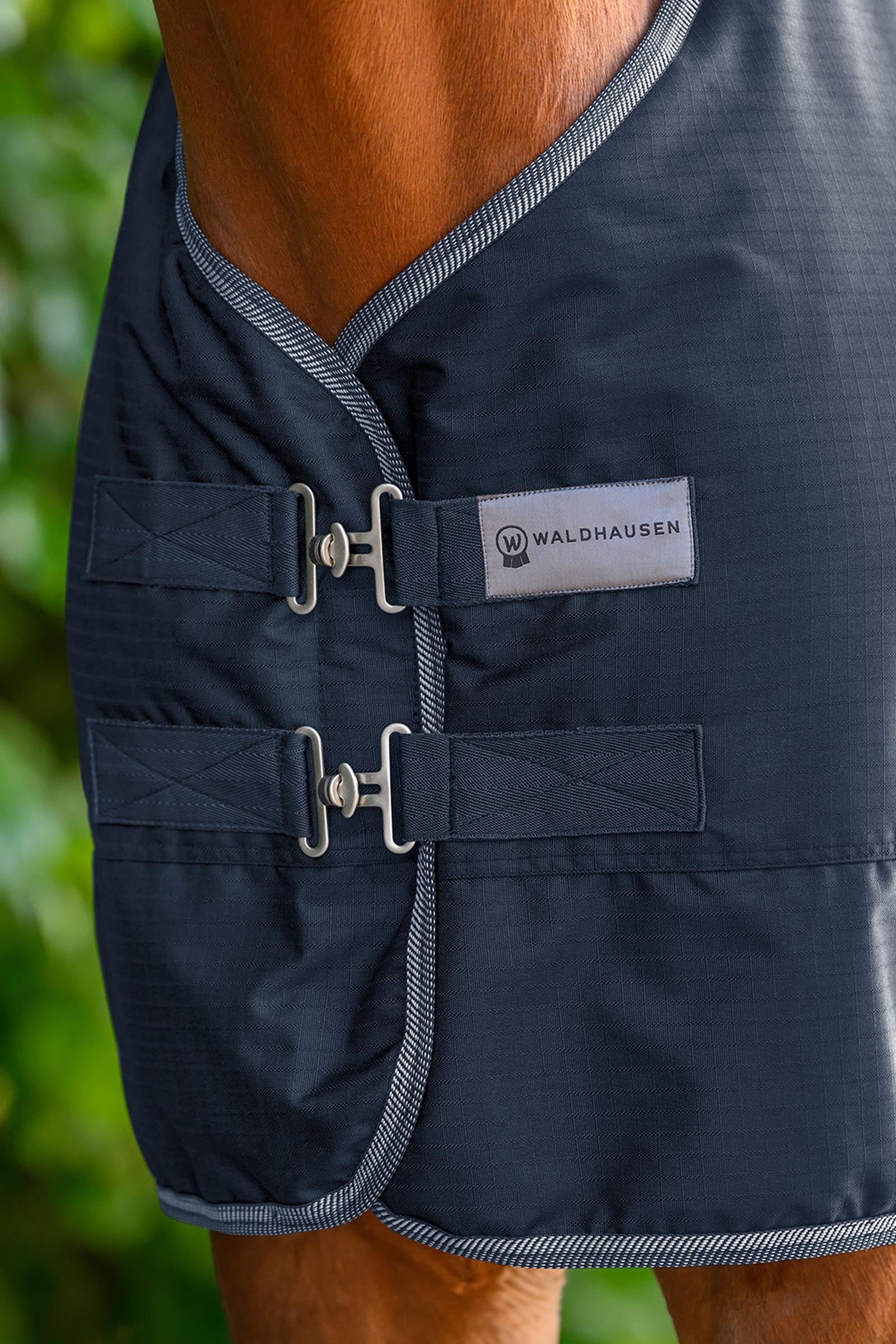 Waldhausen ECONOMIC Outdoor Rug, 100g Horse Rugs