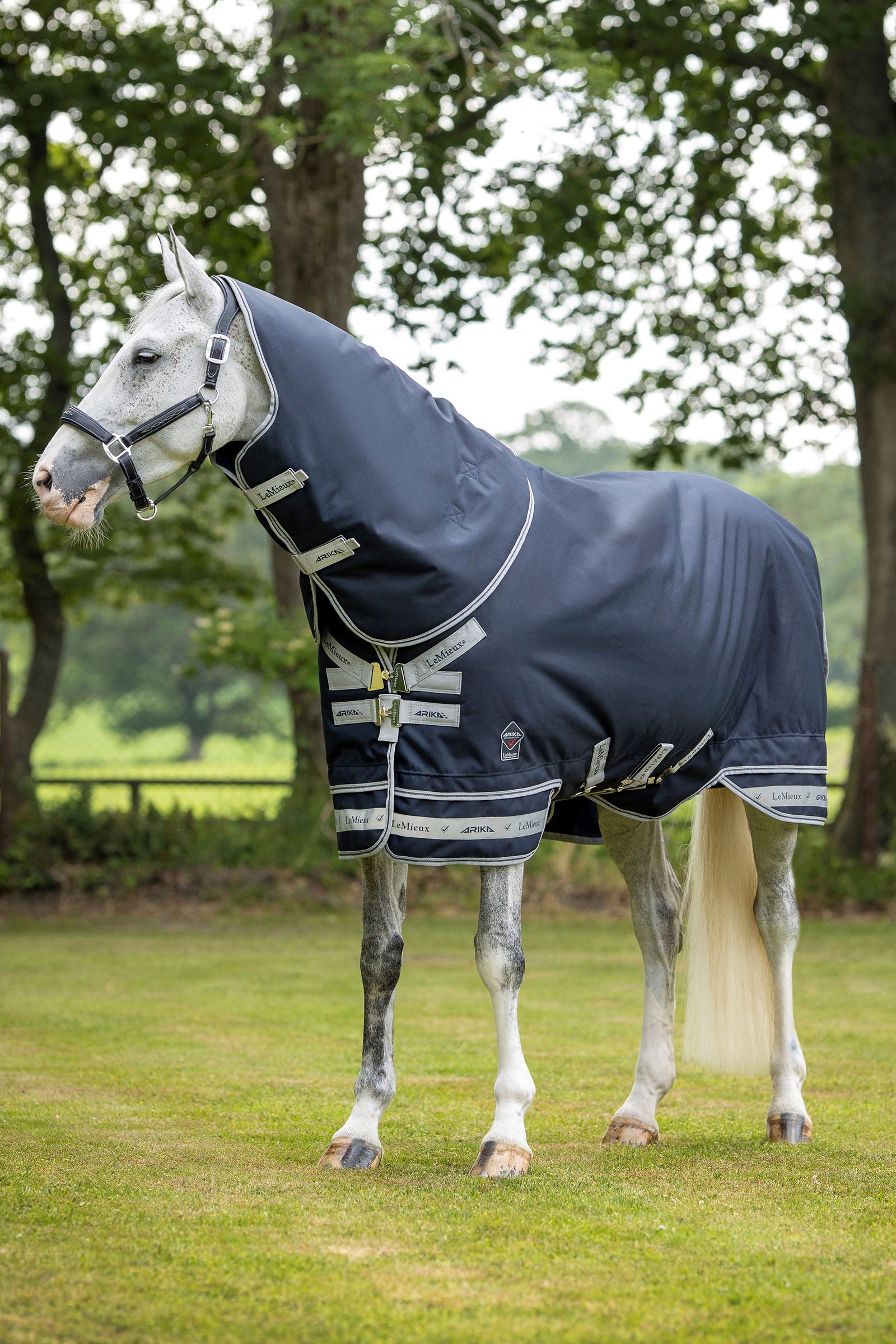 LeMieux Arika Storm-Tek deka 50g Horse Rugs