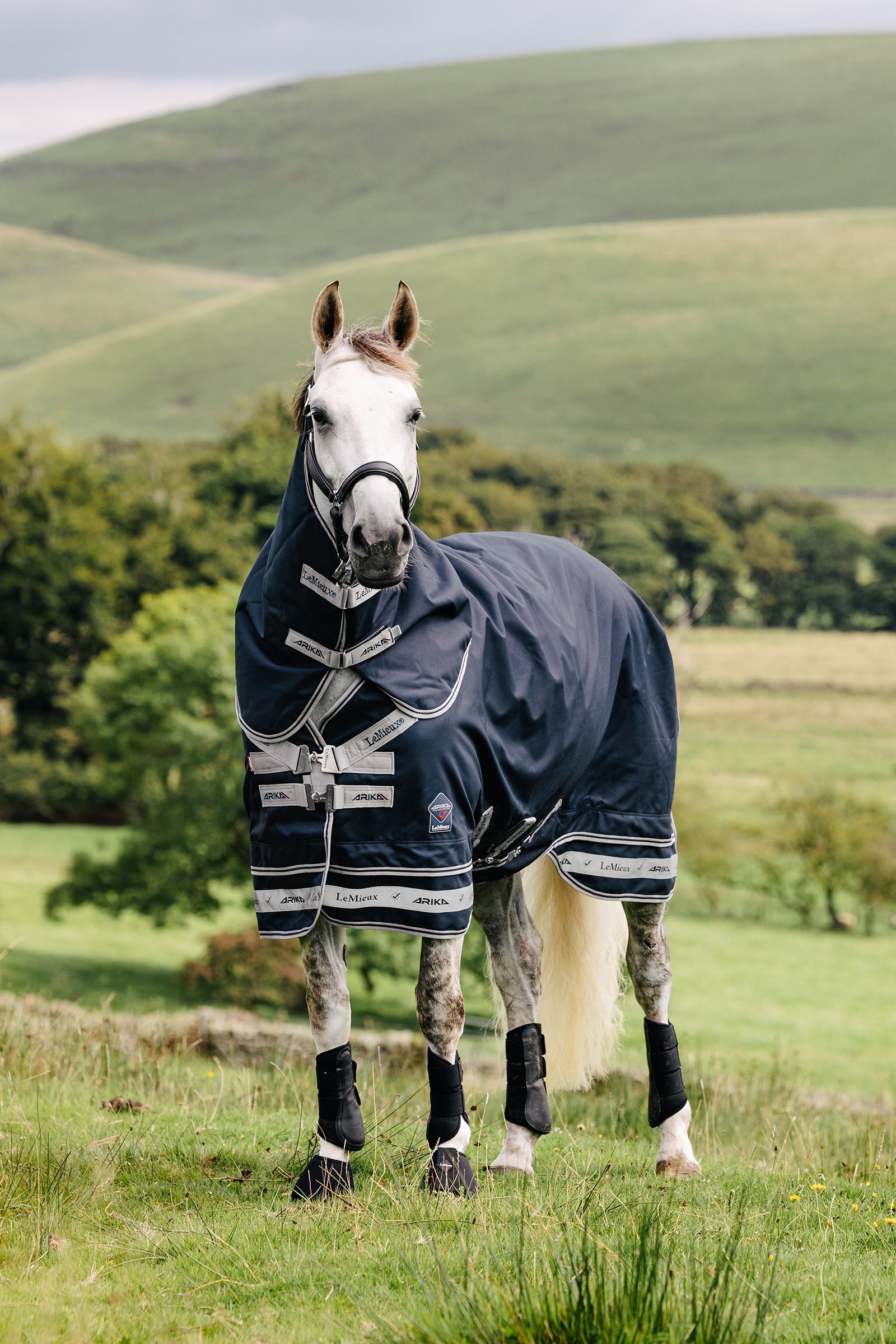 LeMieux Arika Storm-Tek Rug, 50 g Horse Rugs