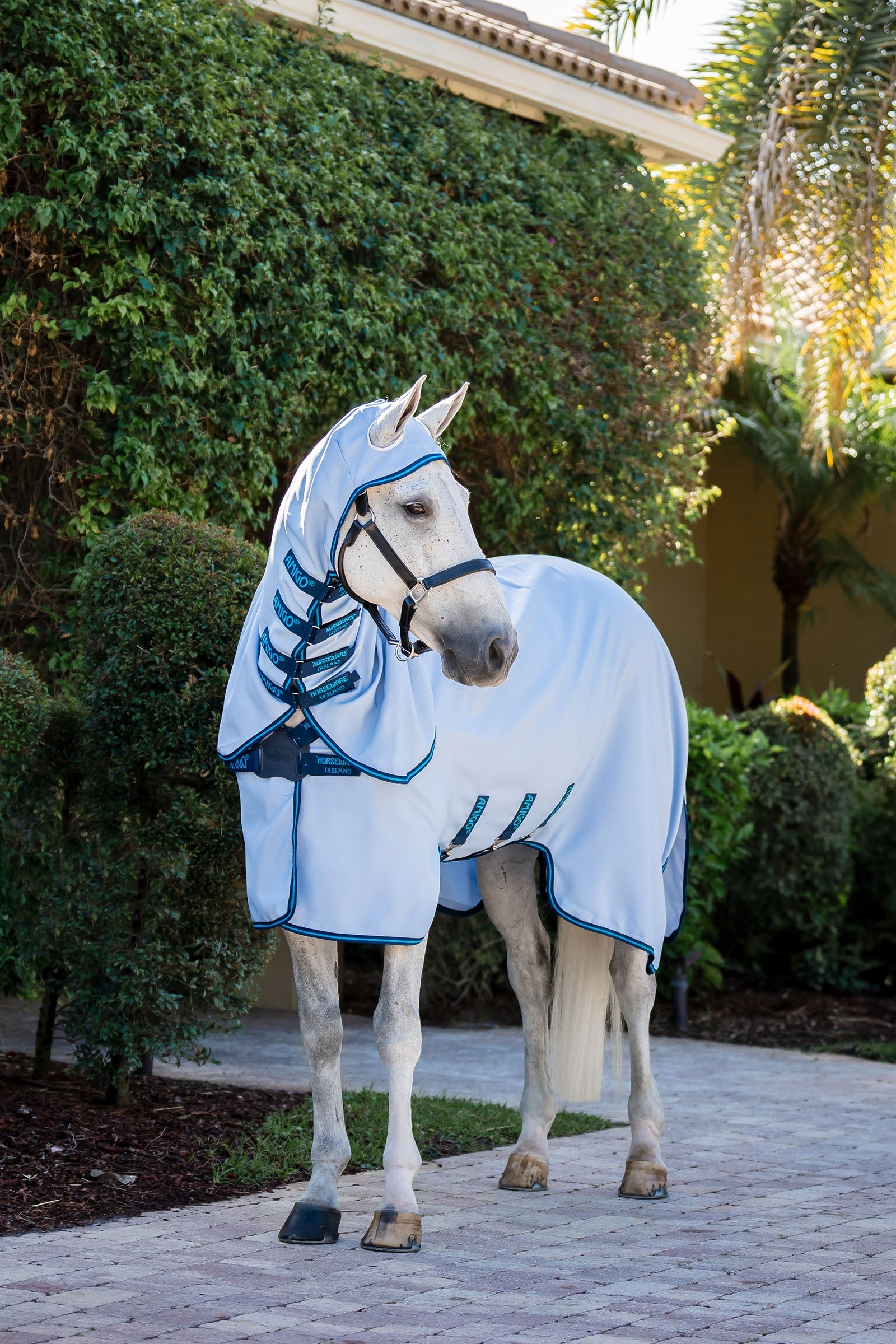 Horseware Amigo Ripstop Deka proti hmyzu Horse Rugs