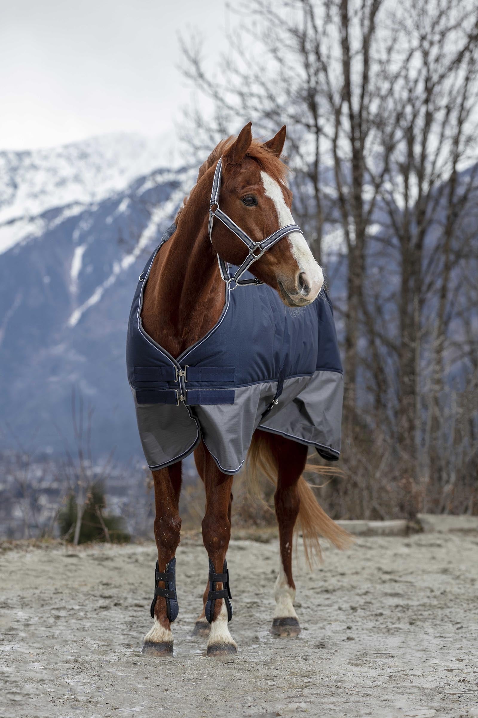Equi Theme EQUITHÈME TYREX 600D Turnout Rug, 300 g Horse Rugs