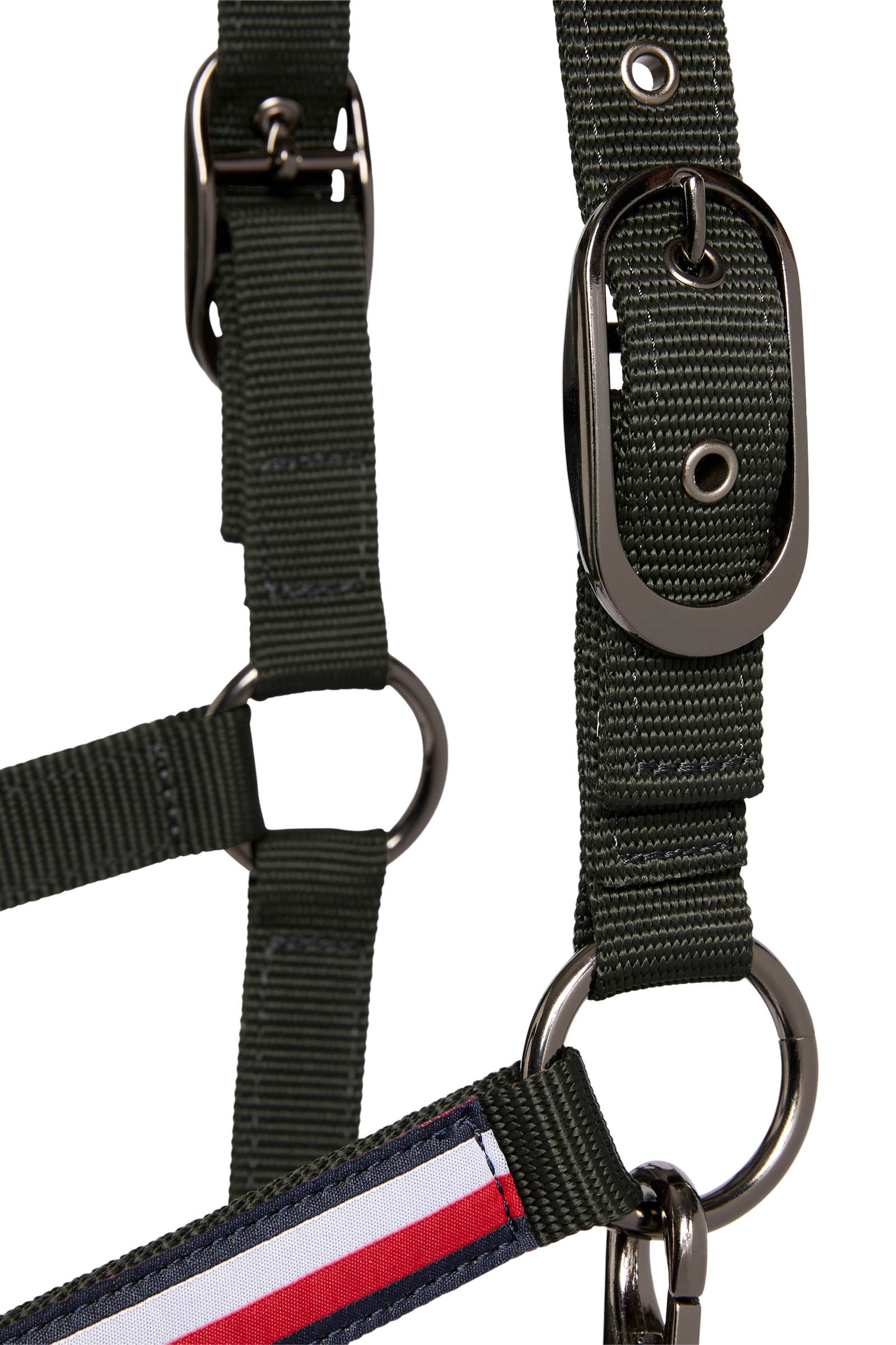Tommy Hilfiger Equestrian Lincoln Halter Halters & Leads