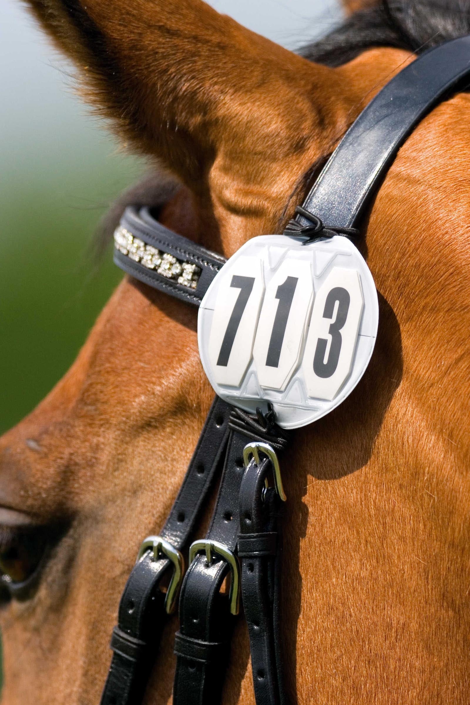 EQUITHÈME 3místné startovní číslo, kulaté Women’s Riding Clothing