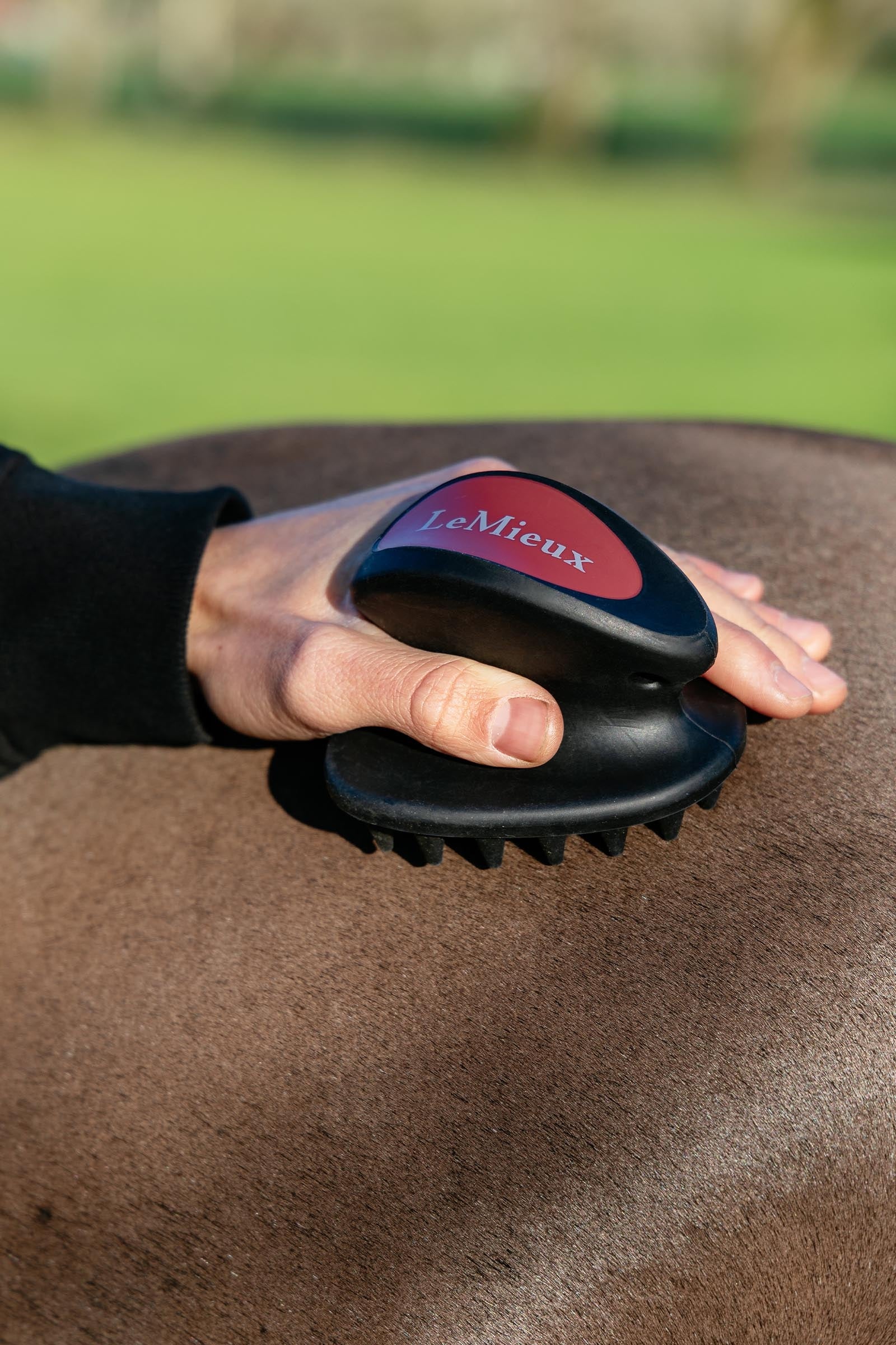 LeMieux Lemieux Massage Brush Horse Grooming Tools