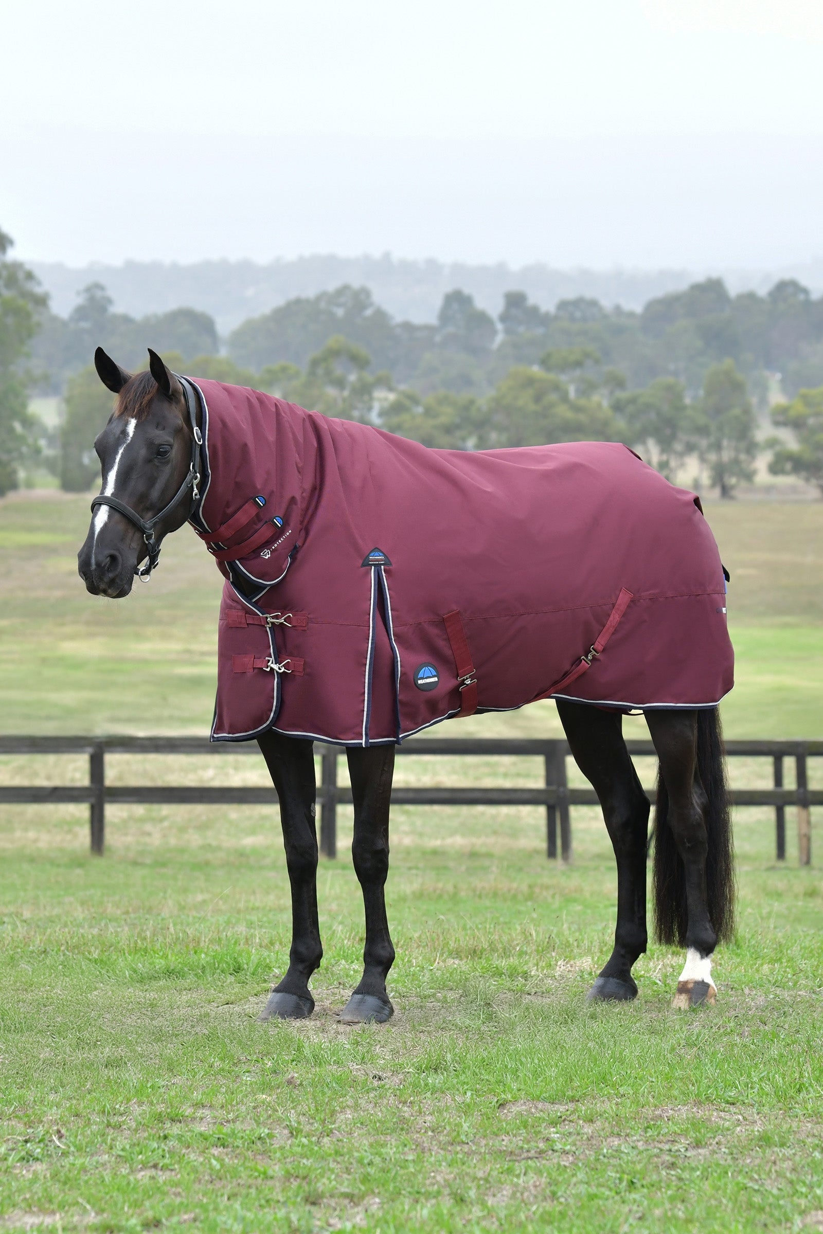 Weatherbeeta Comfitec Essential výběhové deky s pevně připevněným krkem, 220g Horse Rugs