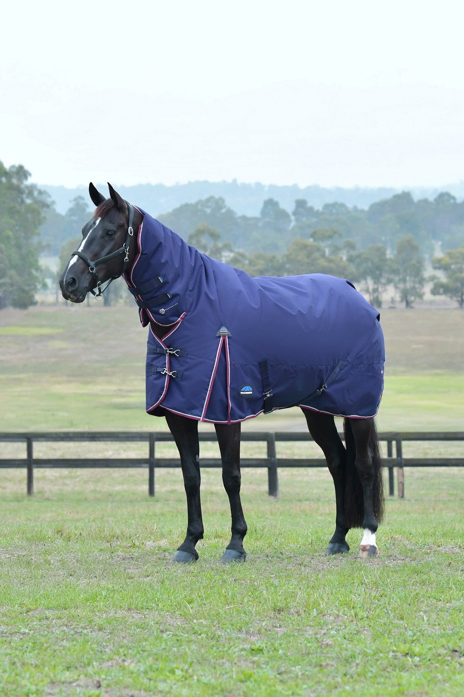 Weatherbeeta Comfitec Essential výběhové deky s pevně připevněným krkem, 220g Horse Rugs