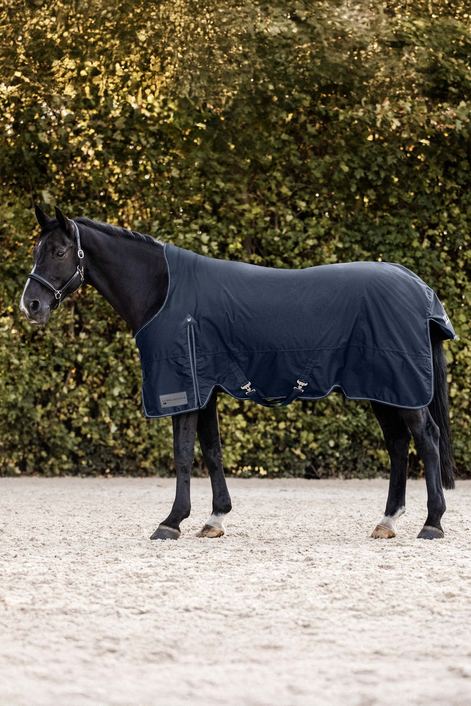Waldhausen Arctic Výběhové deky s vysokým krkem, 0 g Horse Rugs