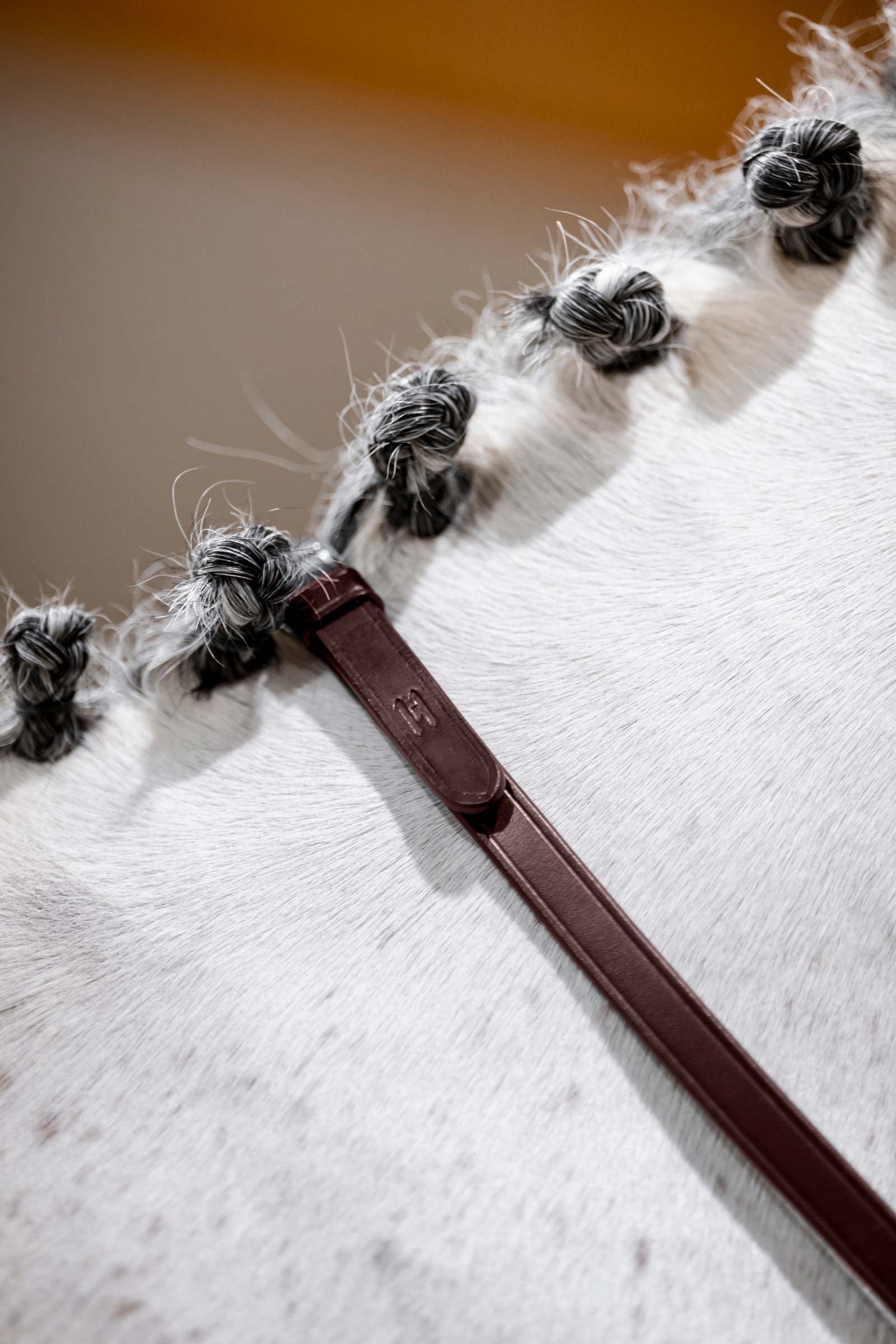Horseware pákové zügel Bridles & Reins
