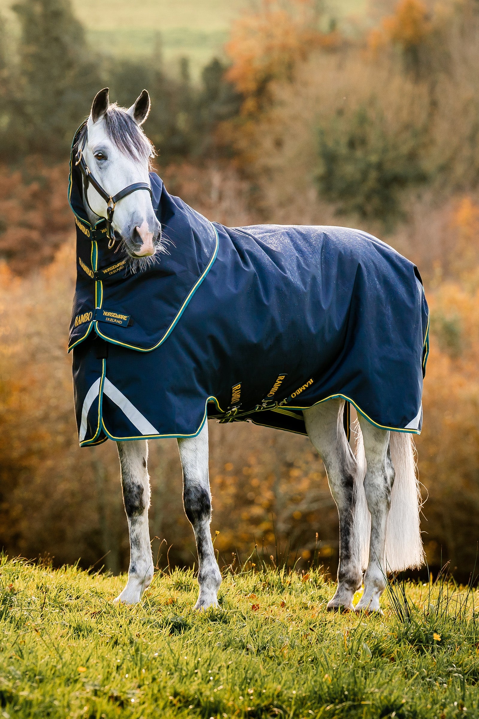 Horseware Rambo Duo Force 2.0, Výběhová deka 100g (100g vnější s 100g podšívkou a 300g podšívkou) Horse Rugs