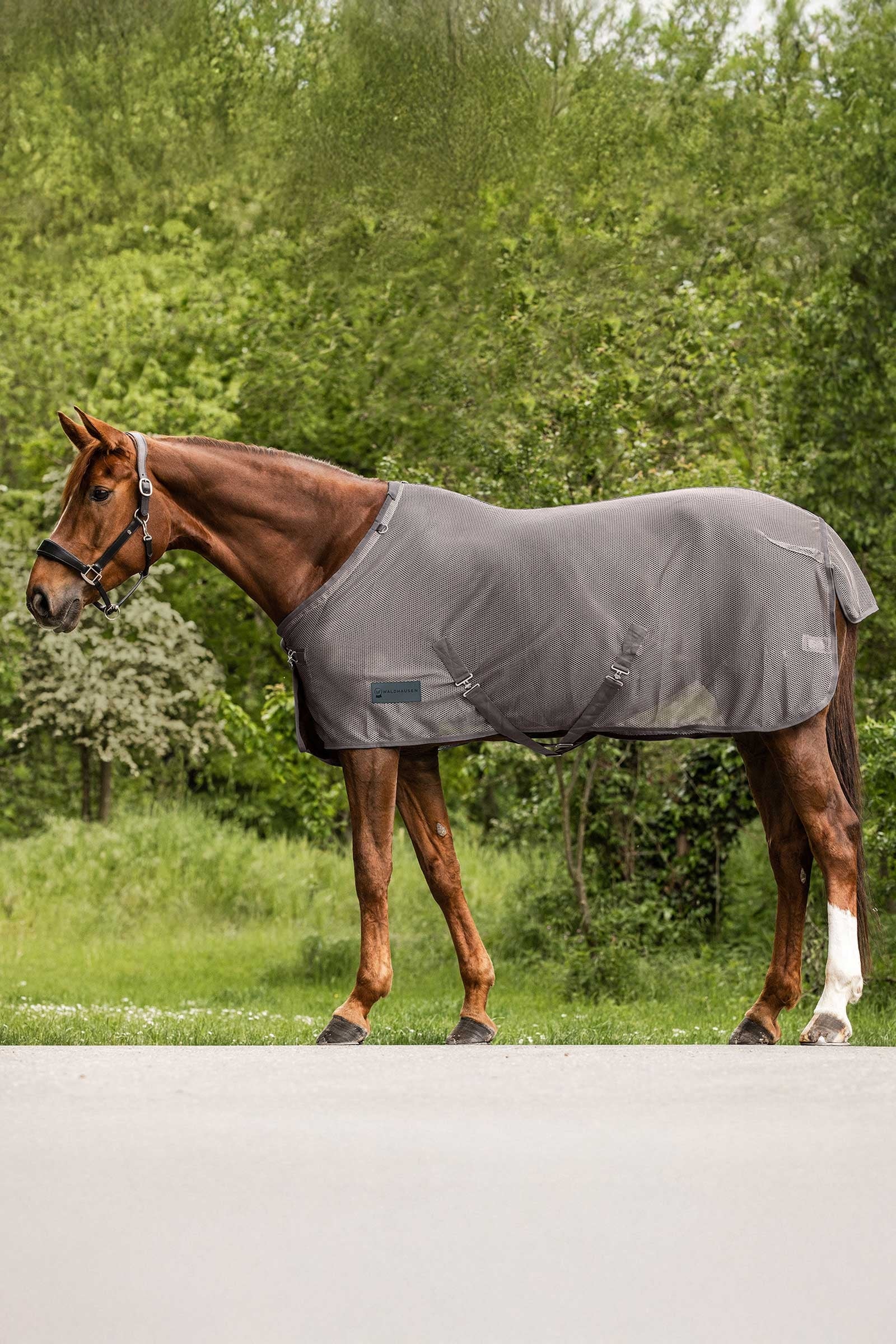 Waldhausen Comfort muchová deka Horse Rugs
