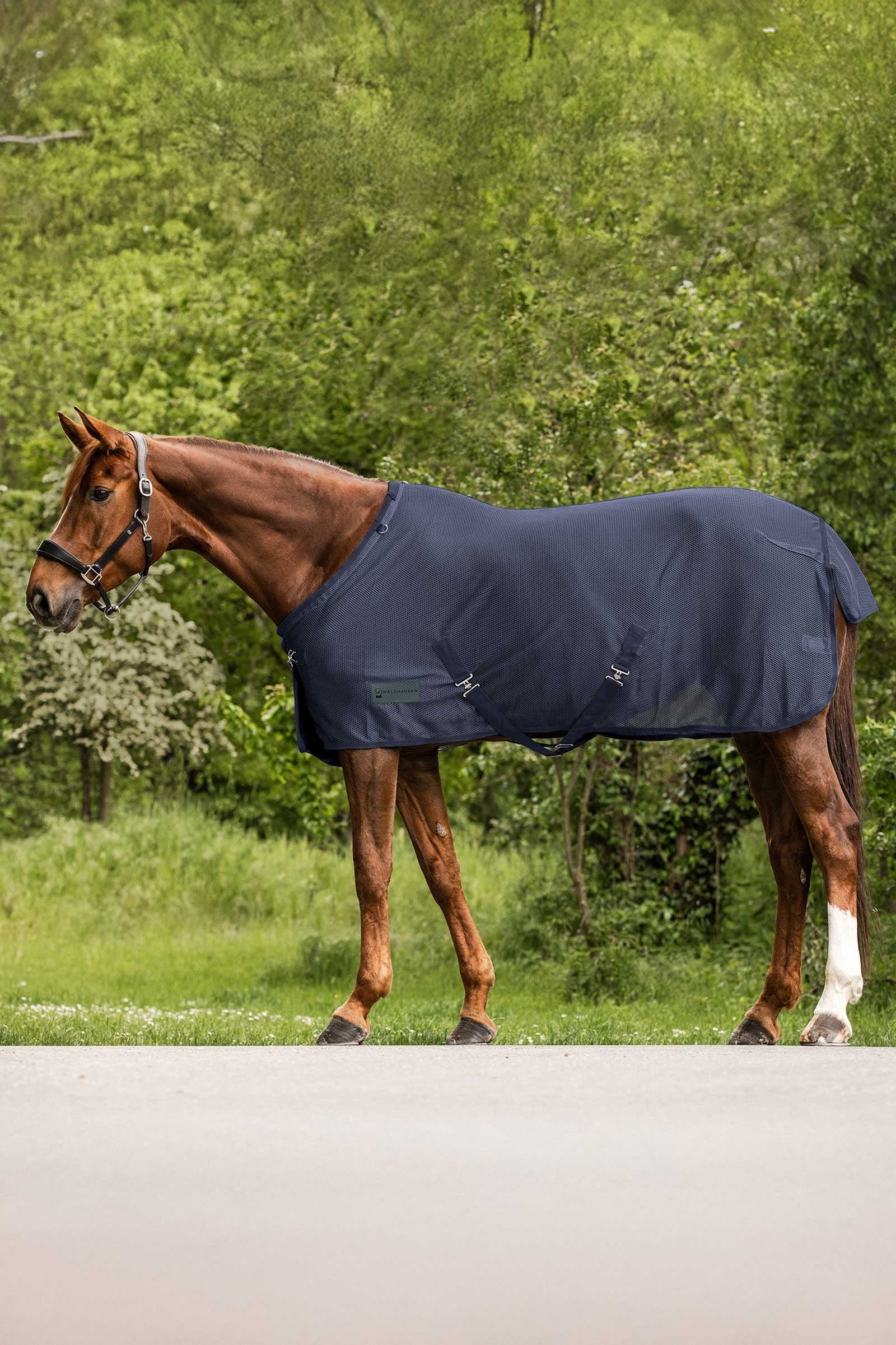 Waldhausen Comfort muchová deka Horse Rugs