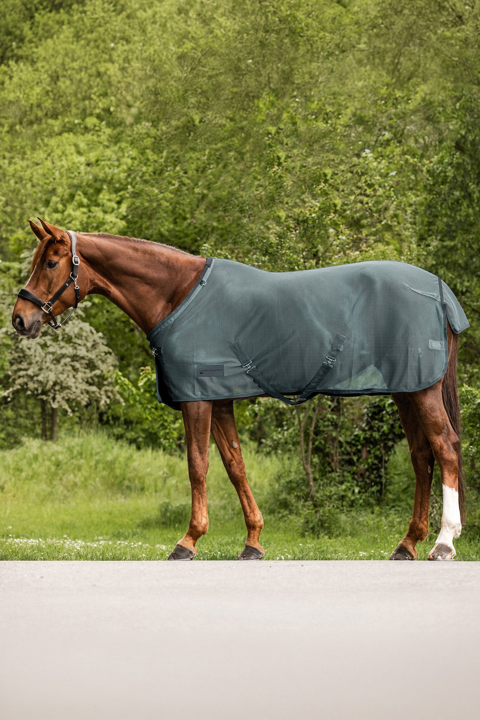 Waldhausen Comfort muchová deka Horse Rugs