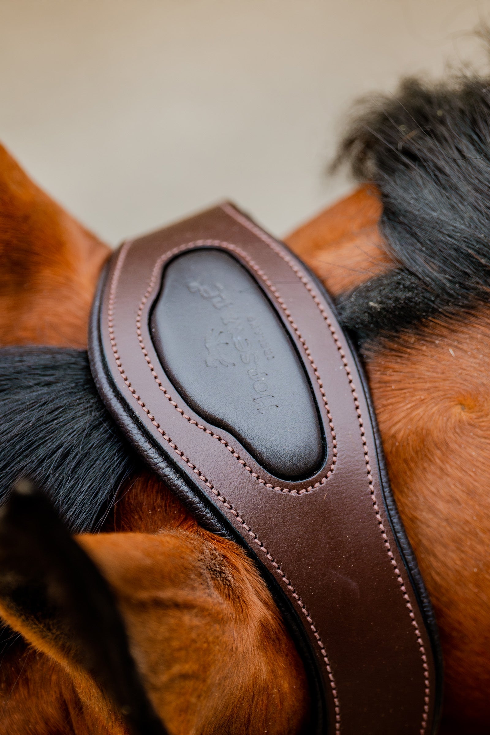 Horseware Signature Competition Headcollar Halters & Leads