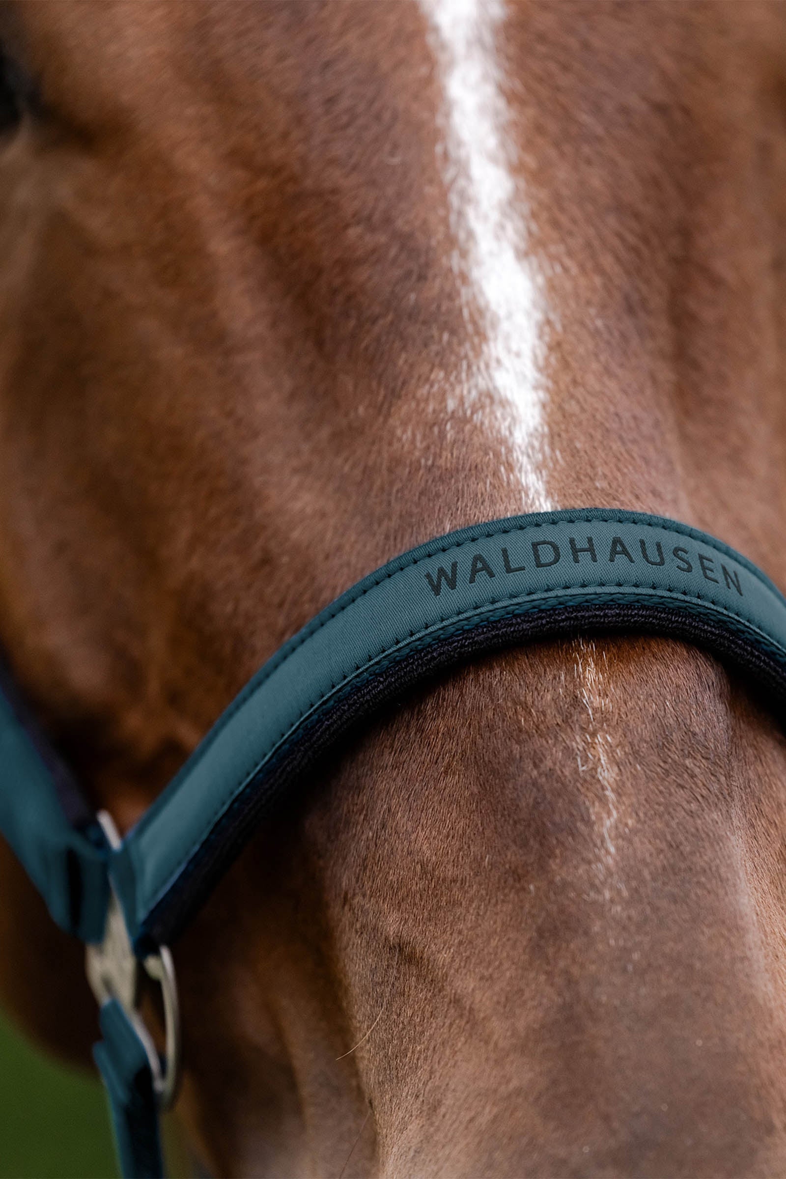 Waldhausen Athletic Halter Halters & Leads