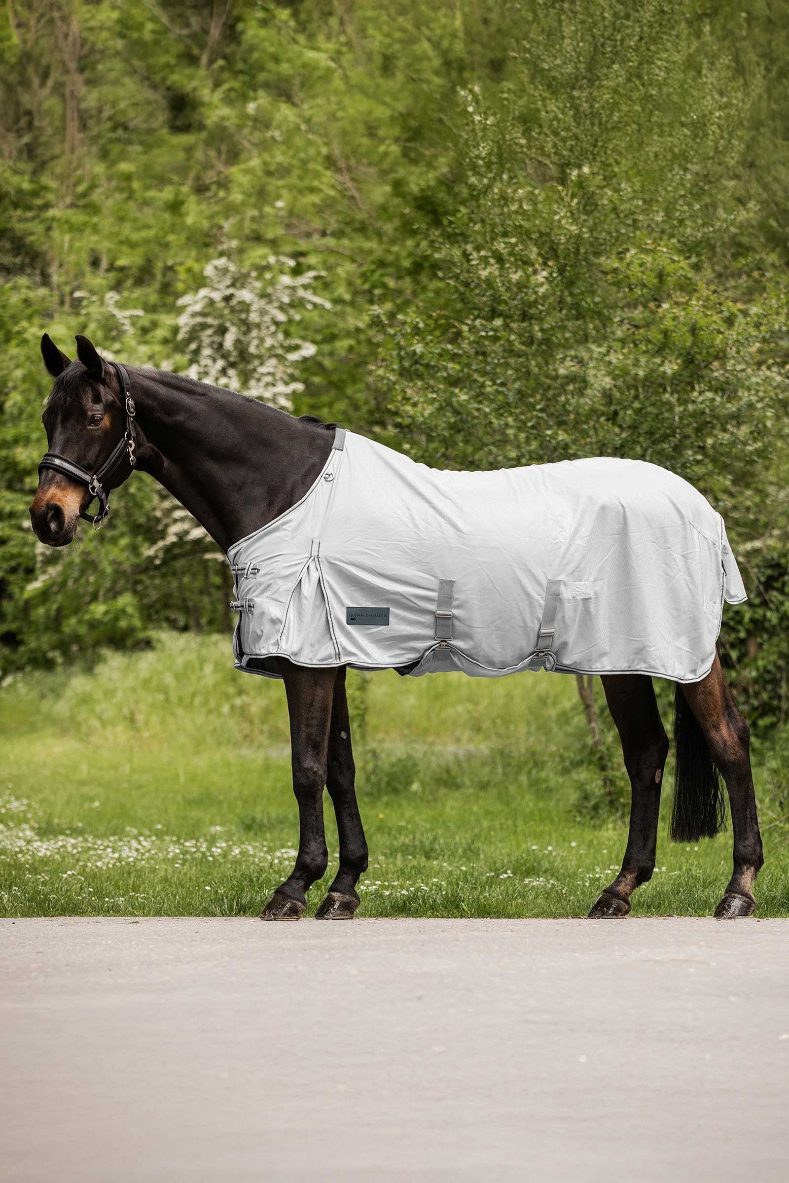 Waldhausen Protect muchová deka Horse Rugs