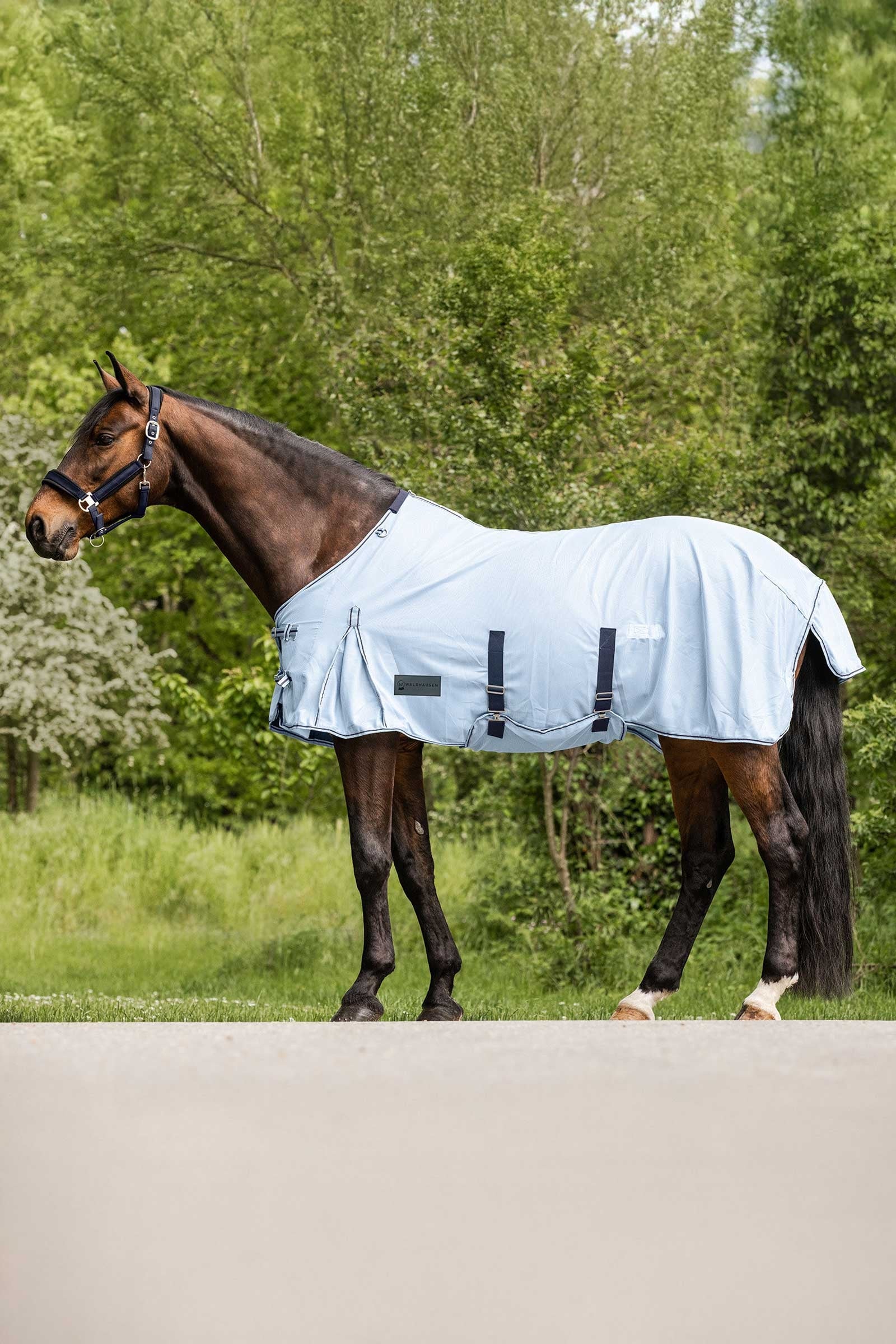 Waldhausen Protect muchová deka Horse Rugs