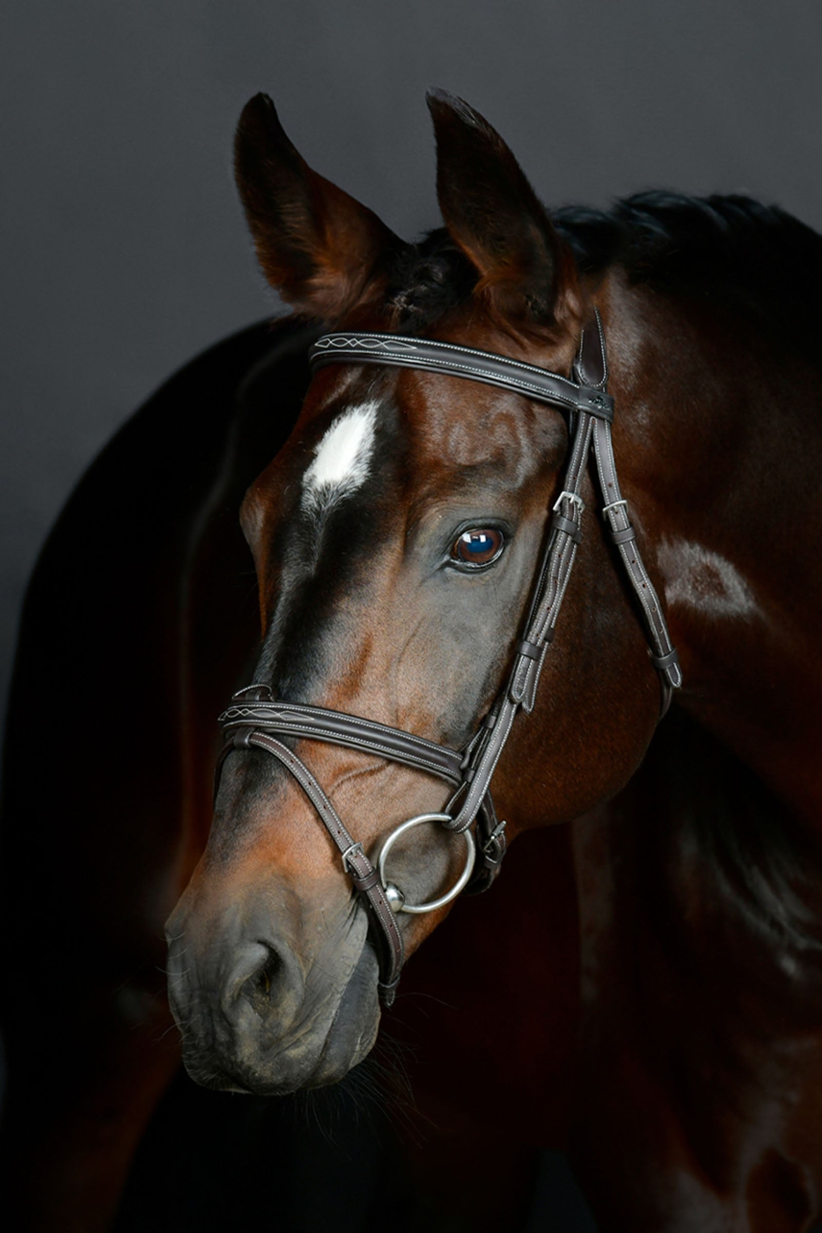 Collegiate Comfitec Opulux Fancy Stitch kombinovaná uzdečka s podloženým nánosníkem Bridles & Reins