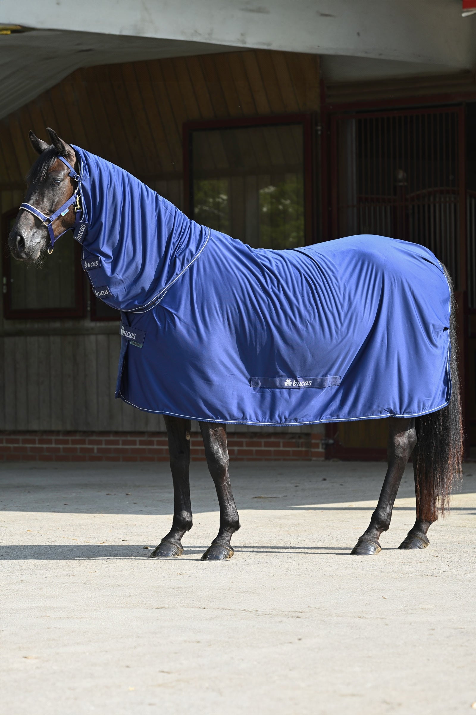 Bucas Power odpocovací deka + nákrčník set Horse Rugs