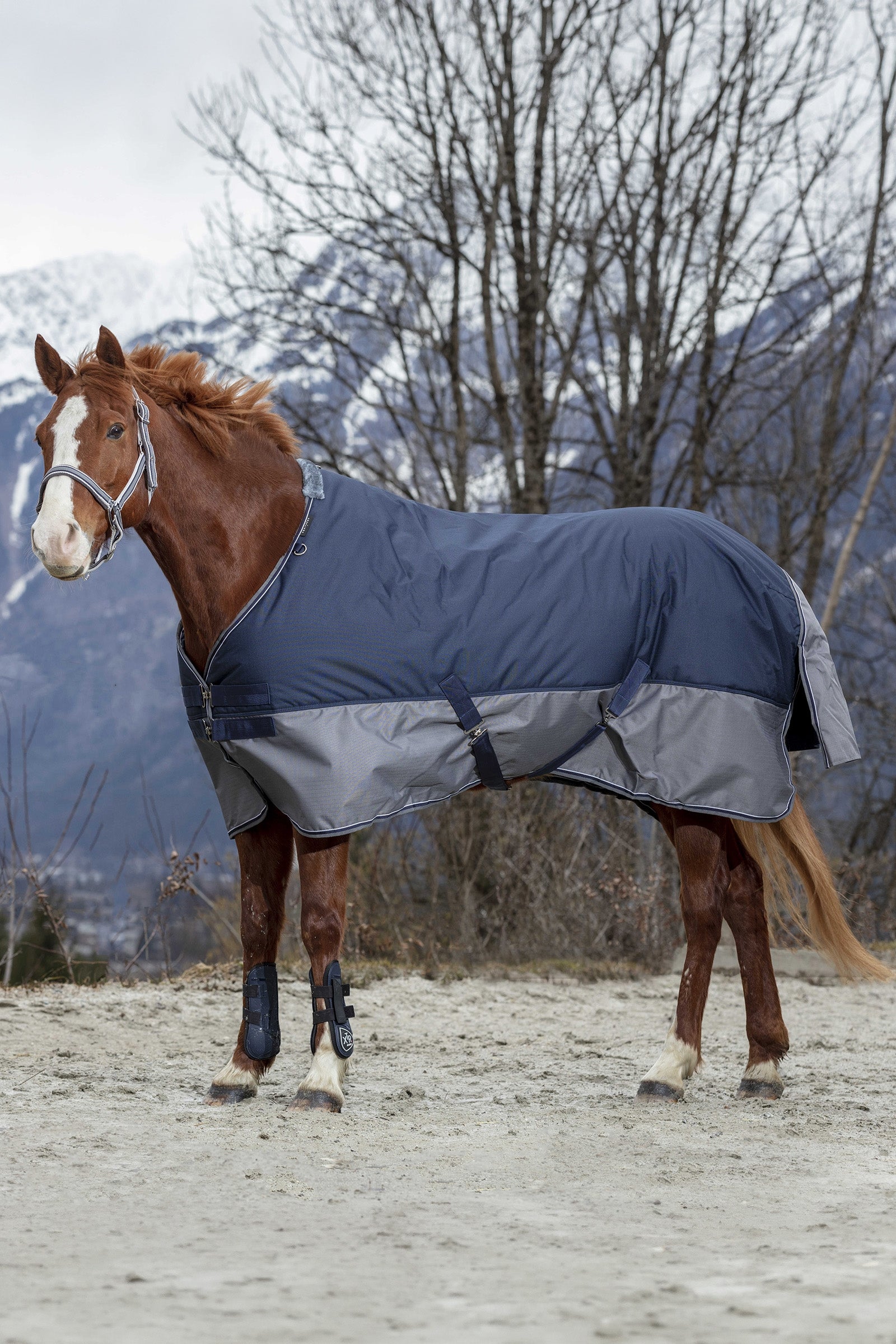 Equi Theme EQUITHÈME TYREX 600D Turnout Rug, 0 g Horse Rugs