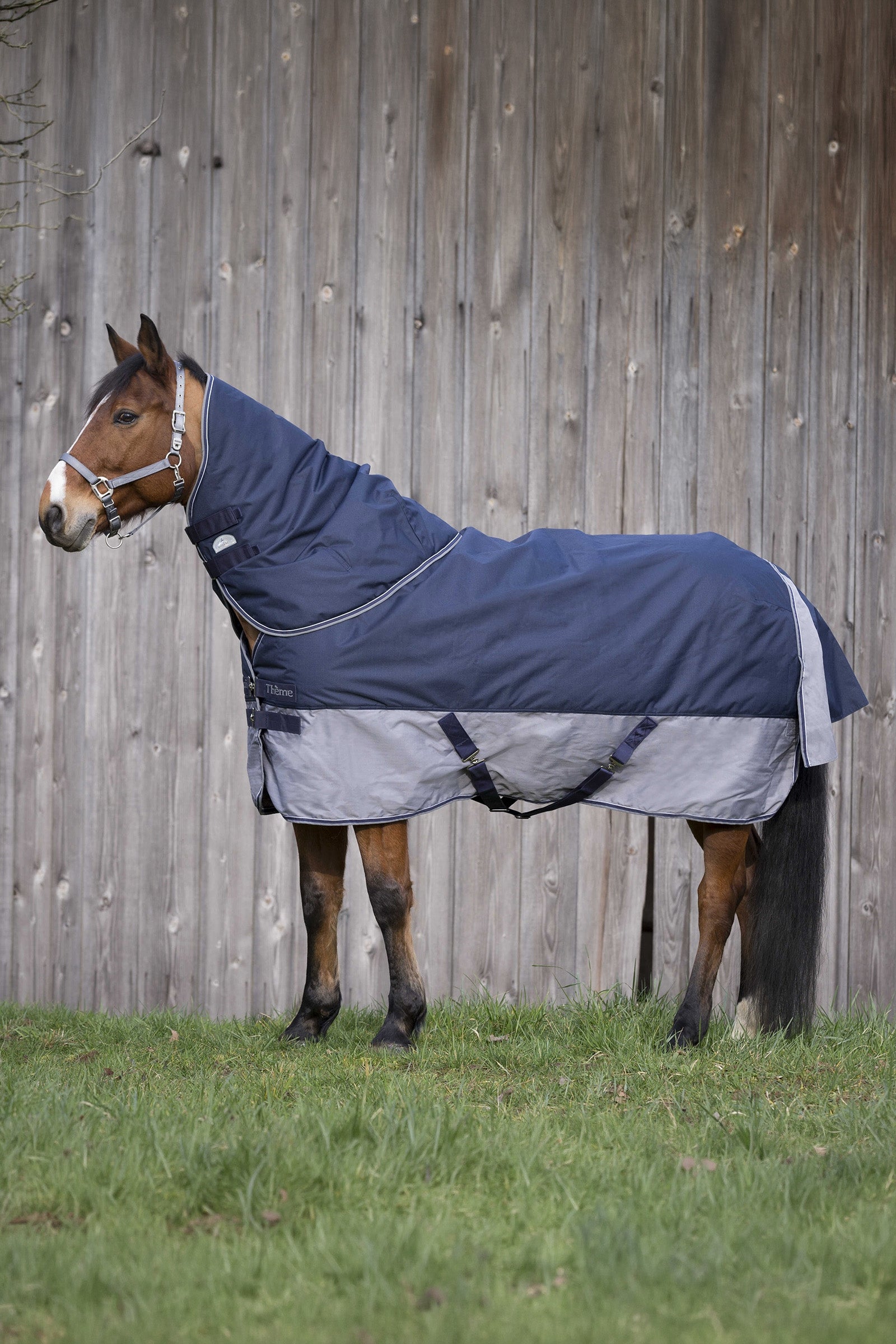 Equi Theme EQUITHÈME TYREX 600D Turnout Rug, 0 g Horse Rugs