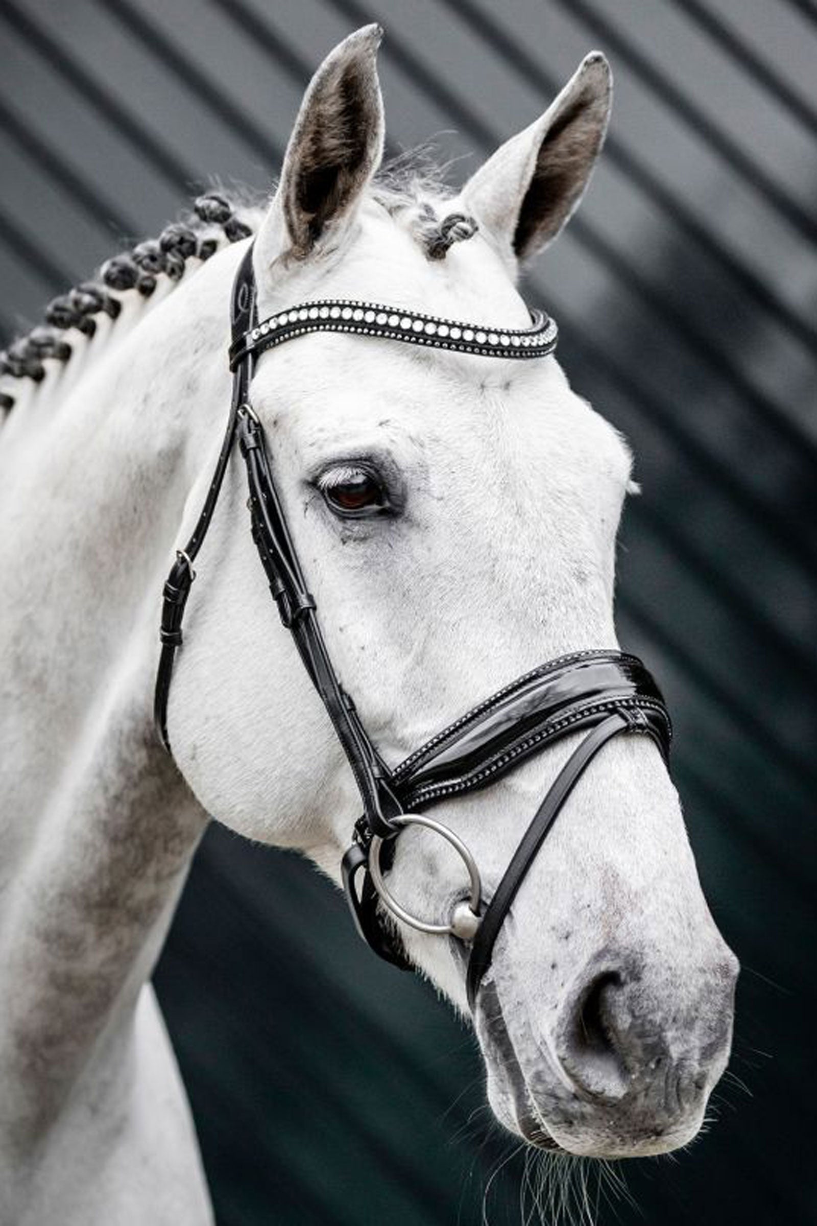 Horseware Diamante uzdečka s kombinovaným nánosníkem Bridles & Reins