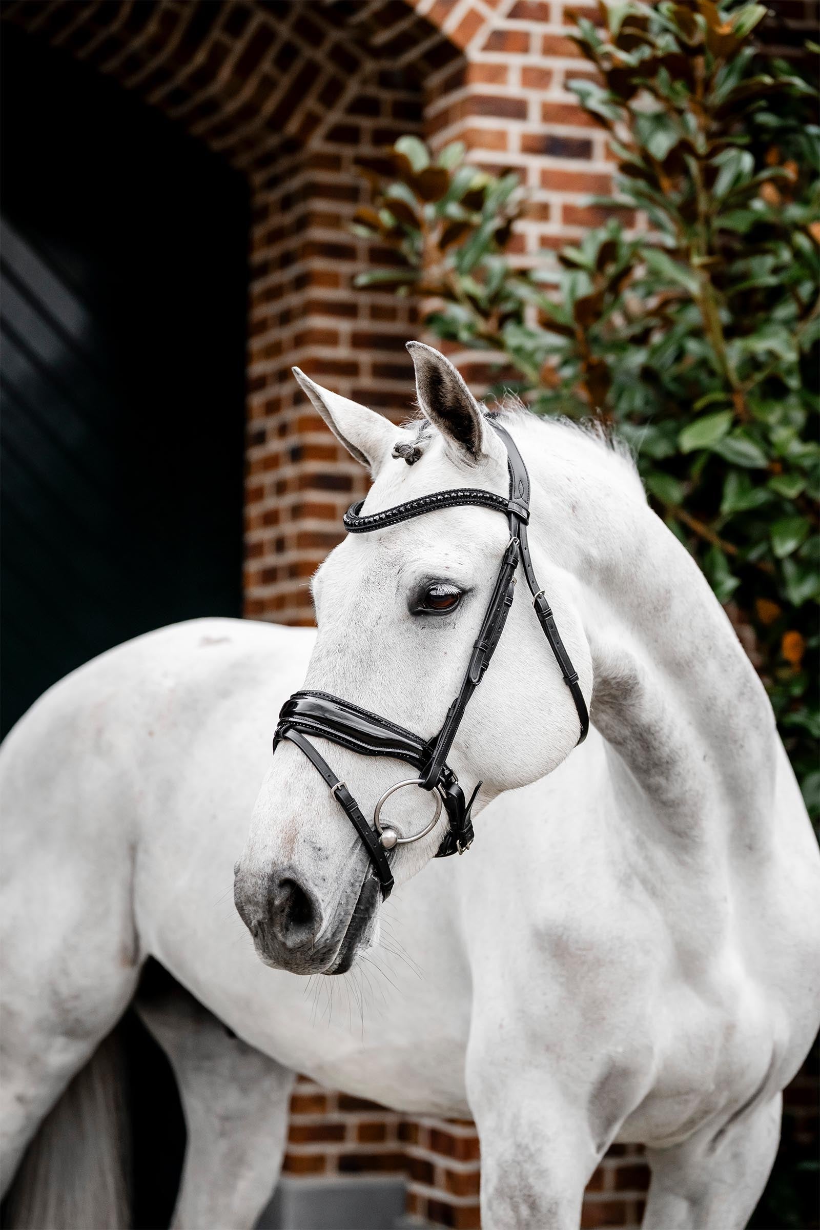 Horseware Diamante uzdečka s kombinovaným nánosníkem Bridles & Reins