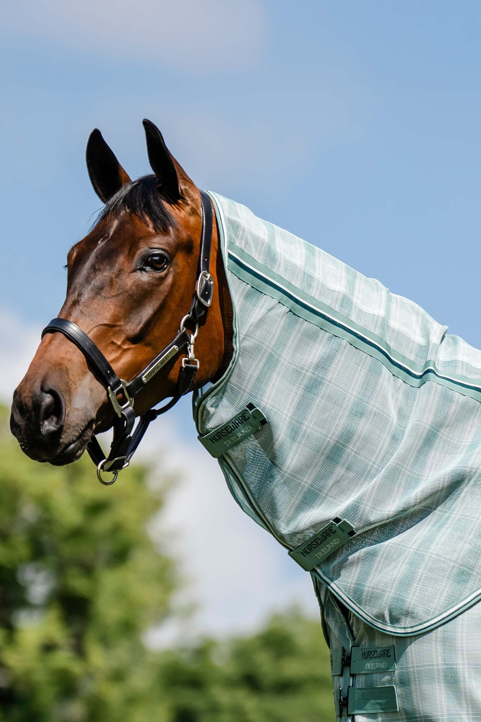 Horseware Newmarket kapuce k flíčce proti hmyzu s UV ochranou Horse Rugs