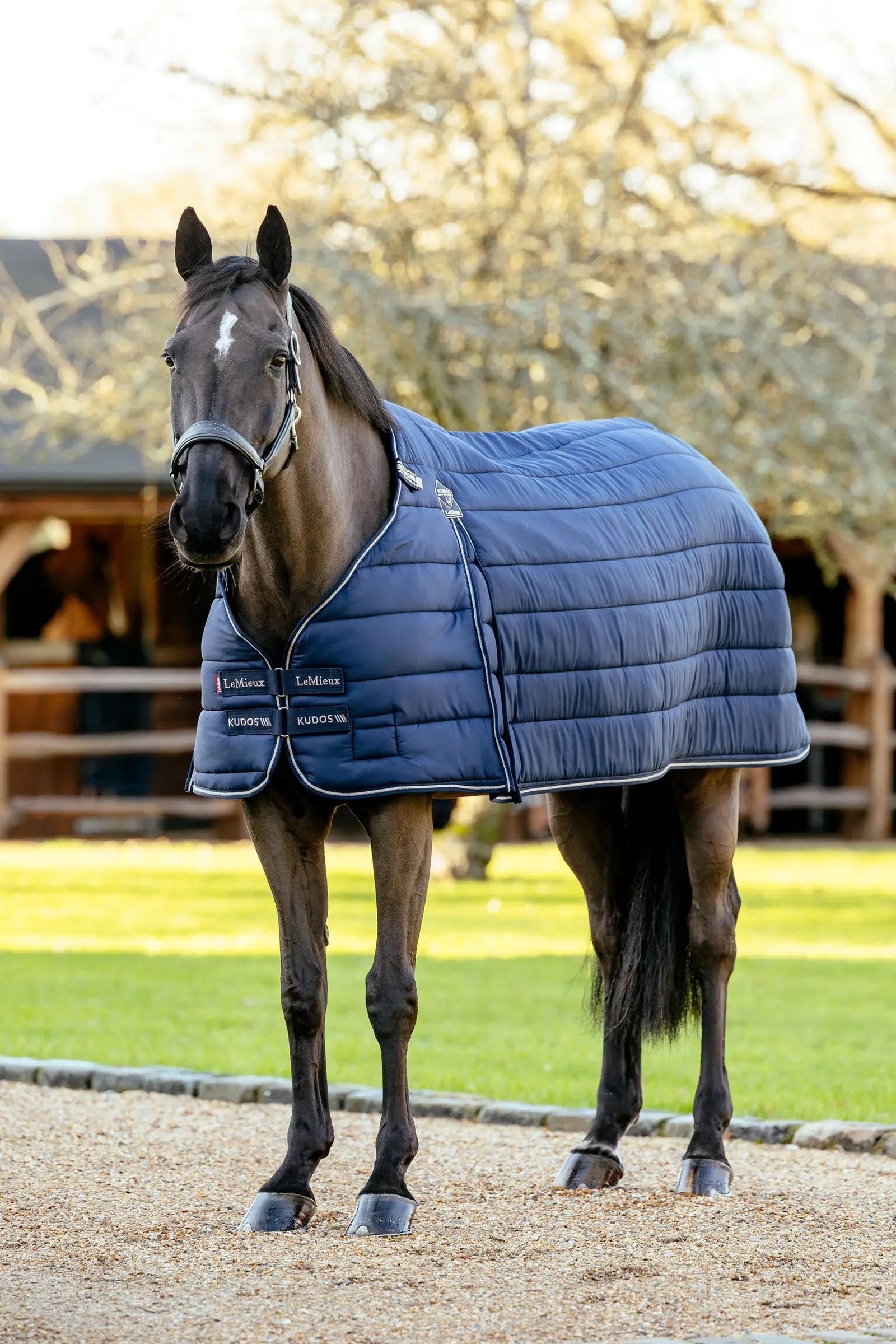 LeMieux Kudos Rug Liner, 50 g Horse Rugs