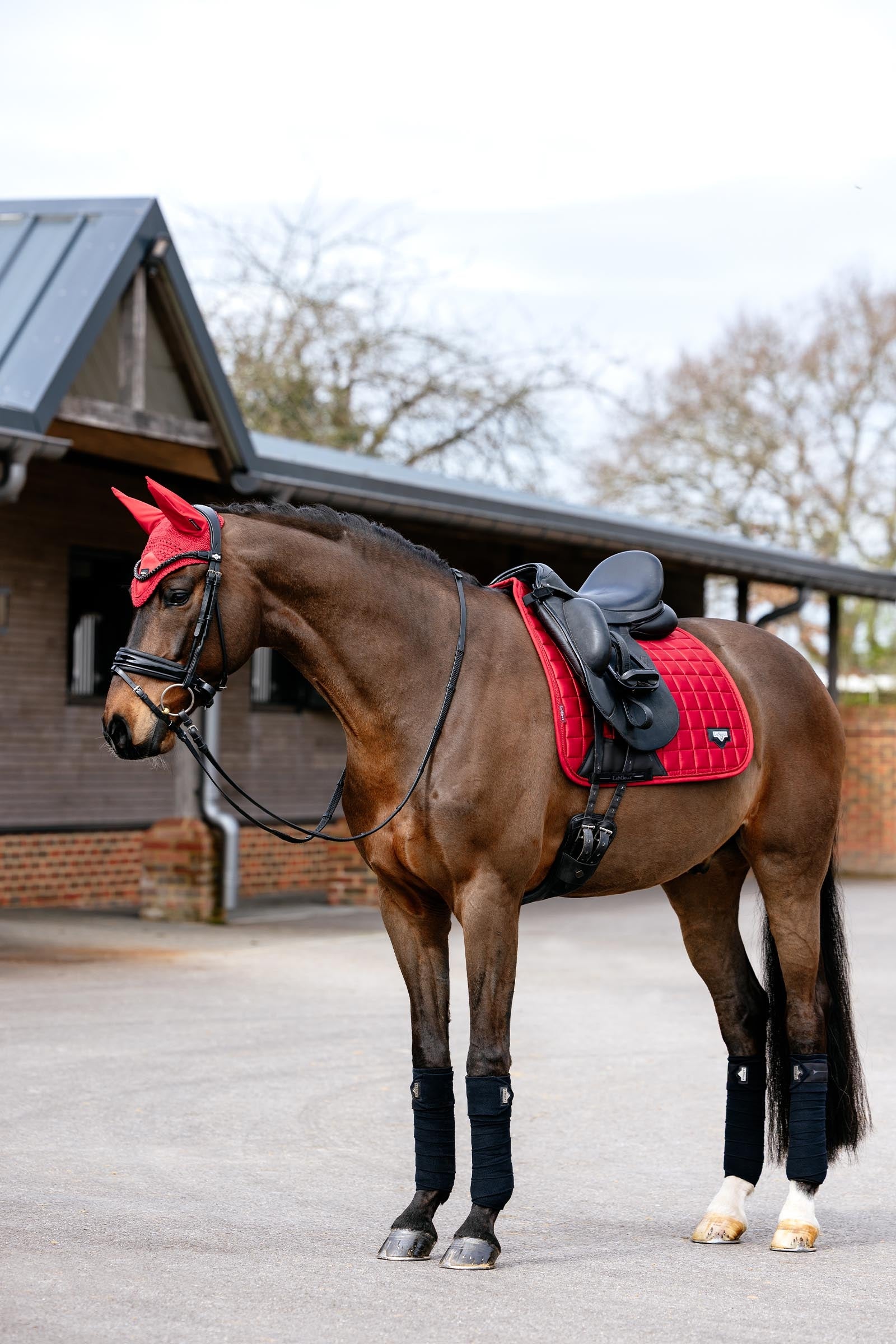 LeMieux Loire Dressage Square Saddle Pad Saddle Pads