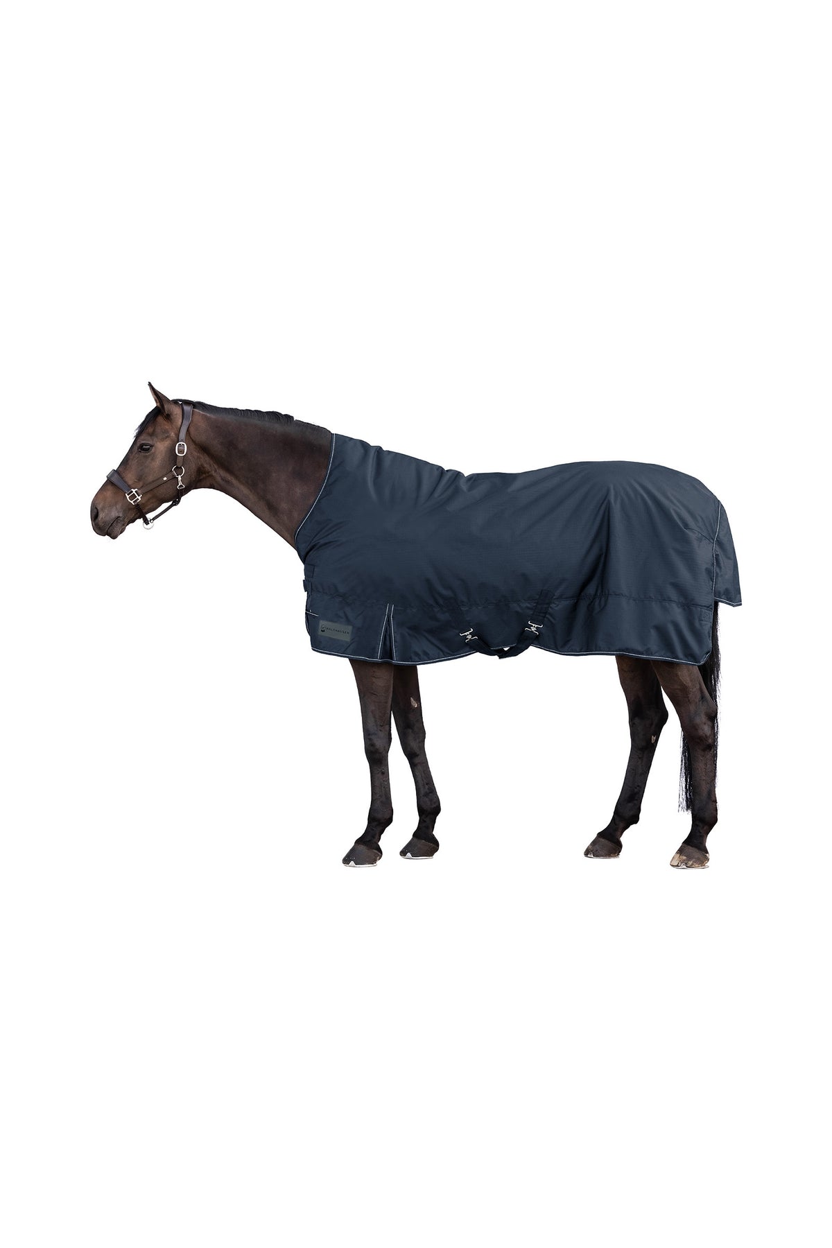 Waldhausen NORDIC 600D Výběhová Deka s Vysokým Krkem, 100 g Horse Rugs