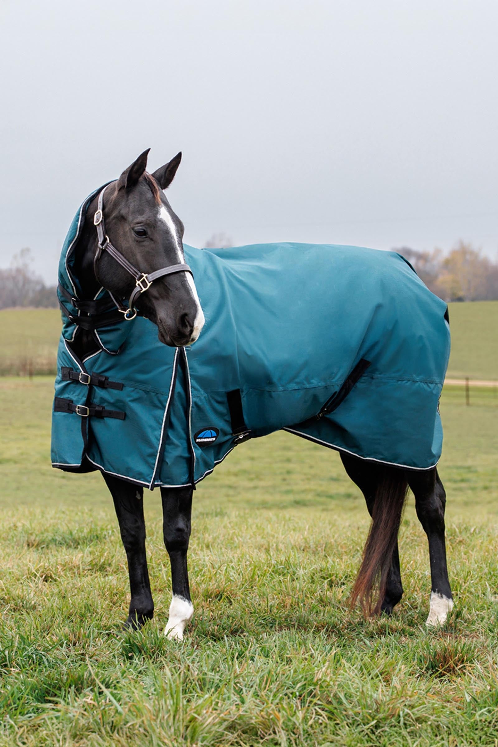 Weatherbeeta Comfitec Classic Turnout Rug Combo 220g Horse Rugs