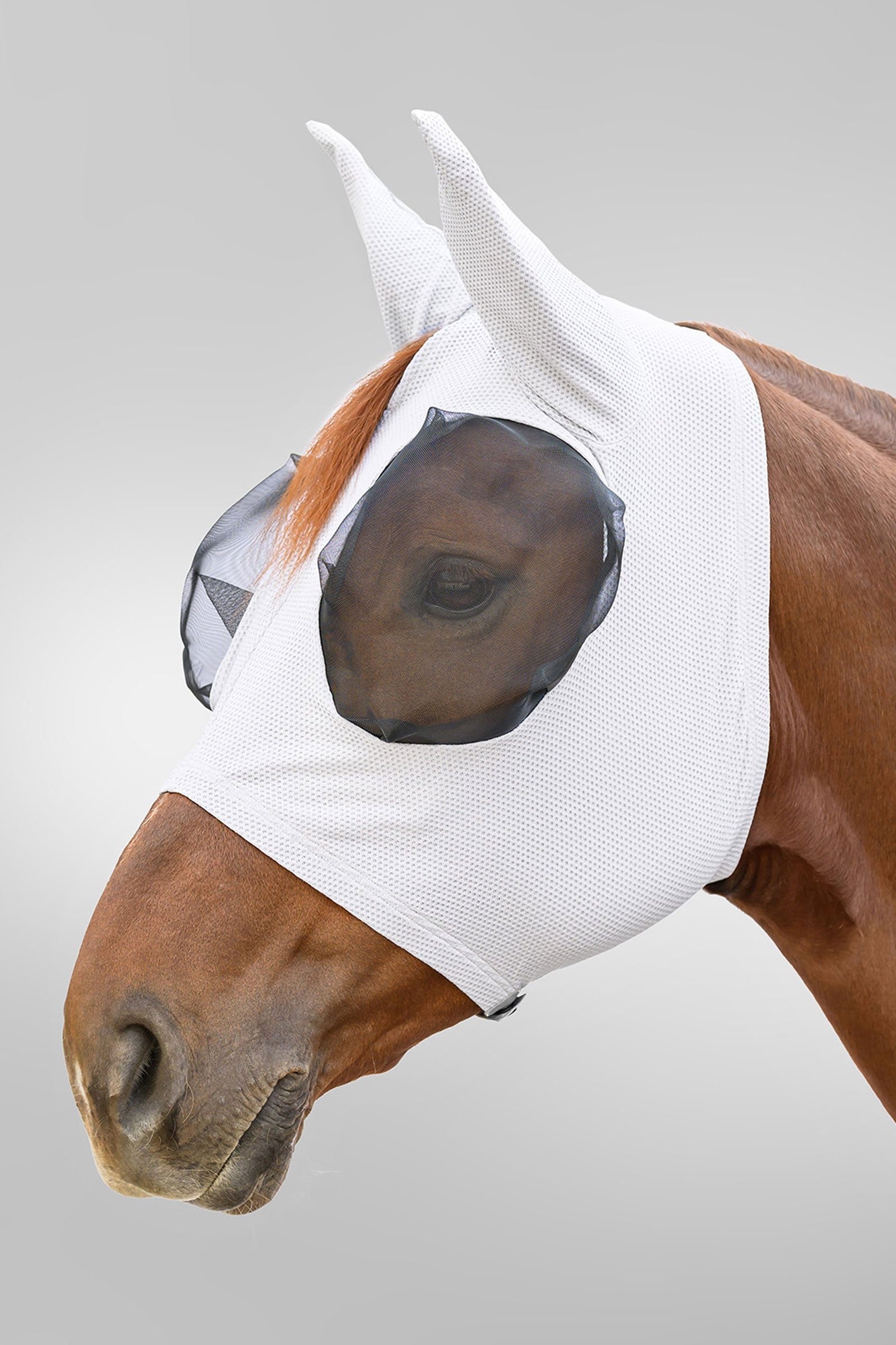 Waldhausen Breath Puck maska proti hmyzu s UV ochranou Antifly Protection for Horses