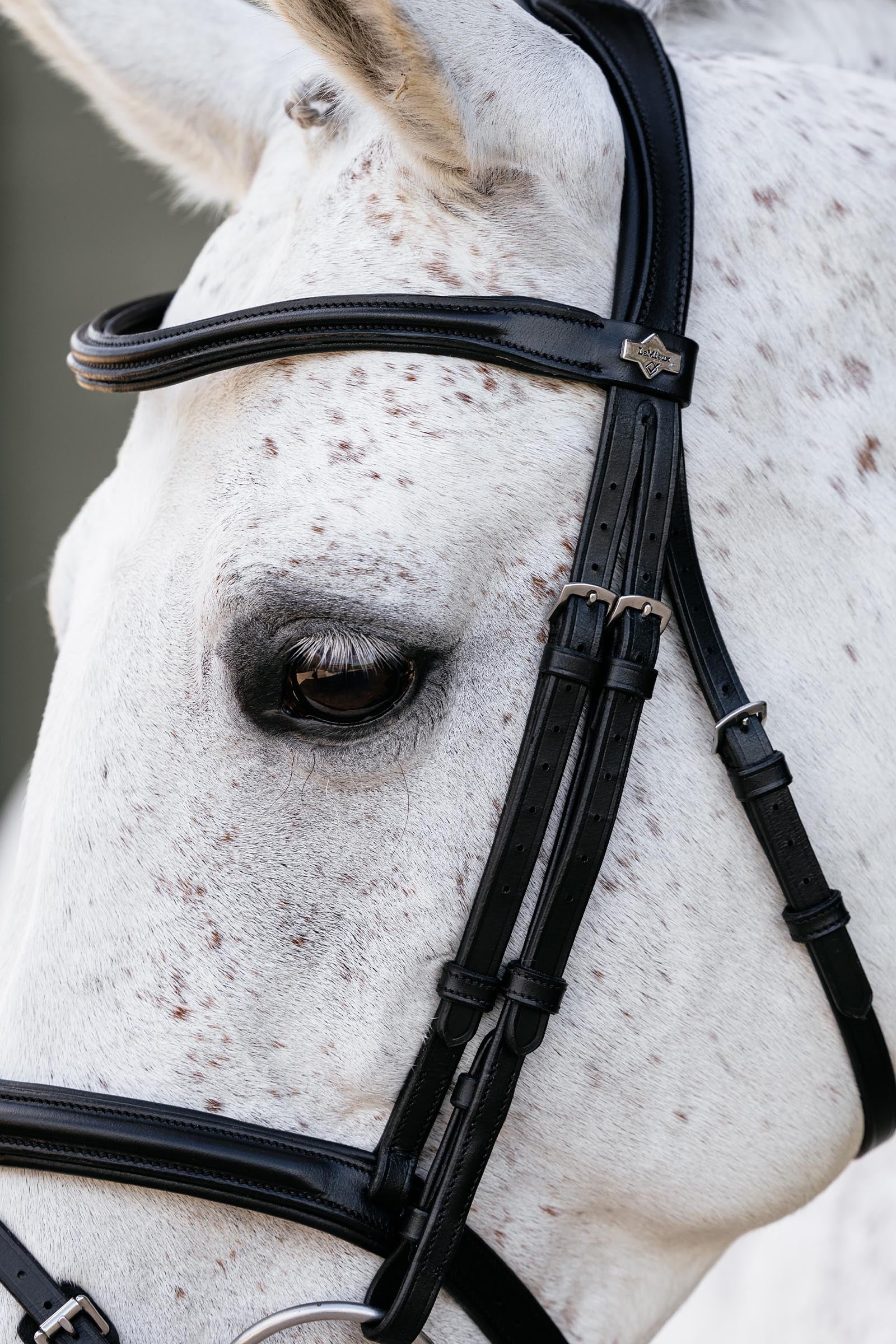 LeMieux Arika Flash Bridle Bridles & Reins