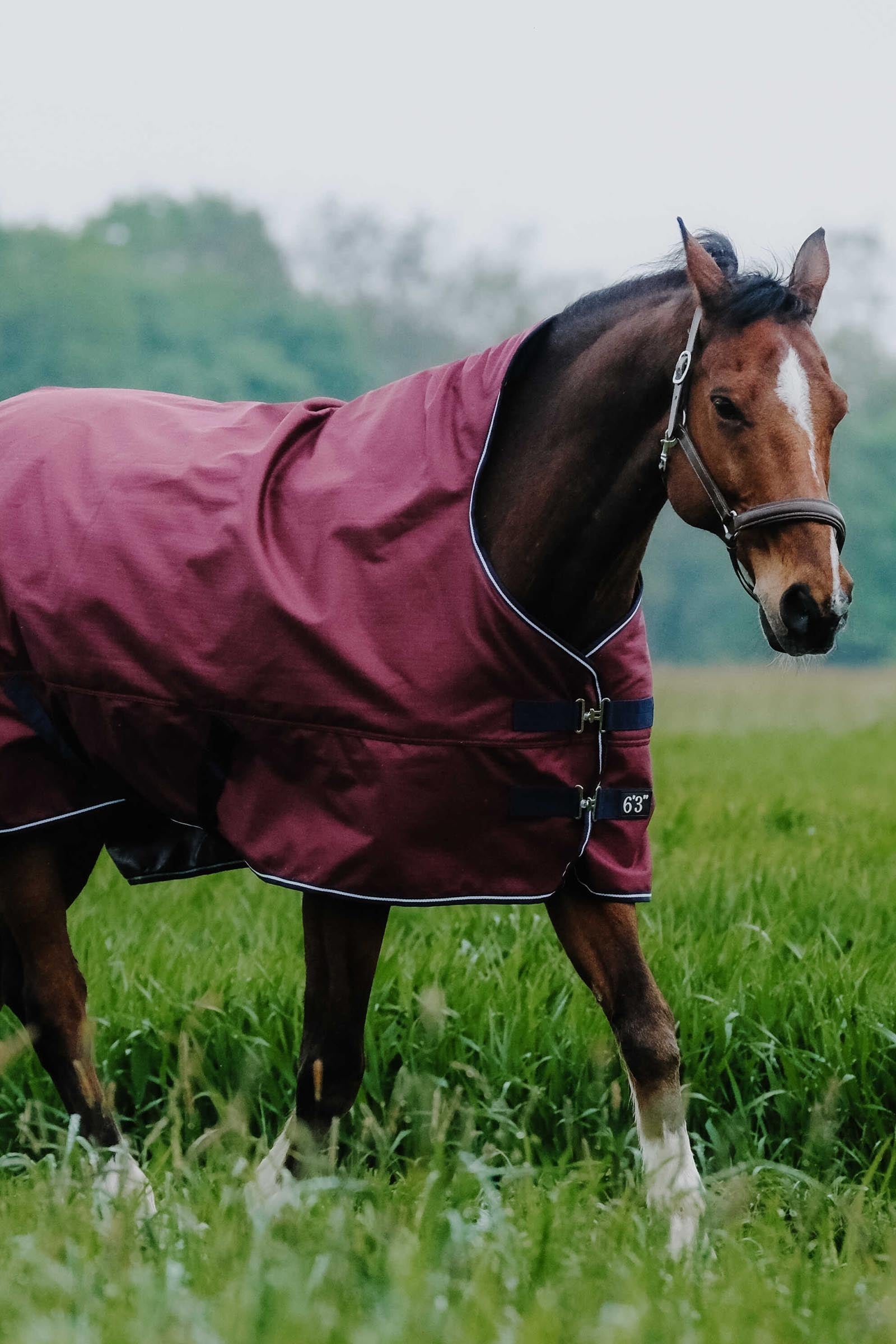 Equi Theme EQUITHÈME TYREX 1200D High Neck Rug, 150 g Horse Rugs