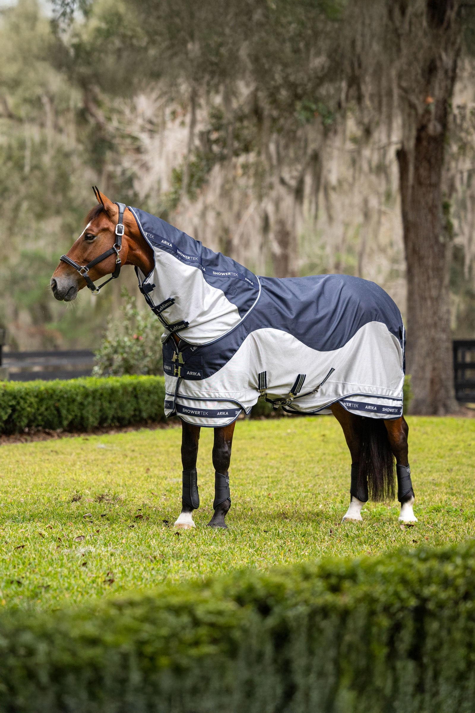 LeMieux Arika Shower-Tek Fly Rug With Detachable Neck Horse Rugs