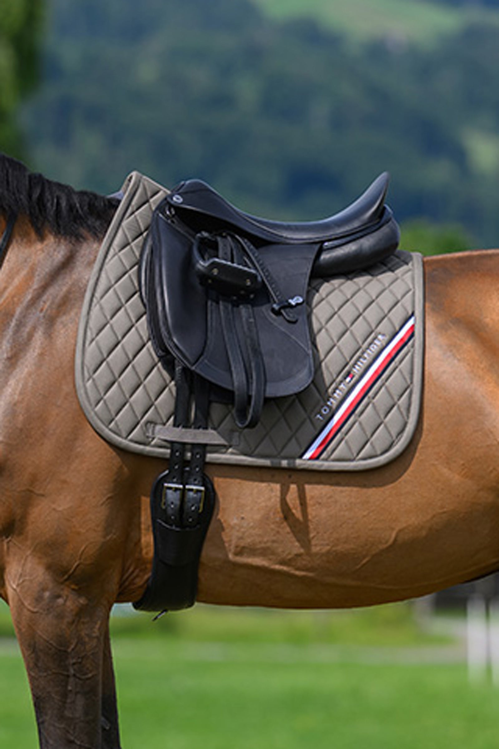 Tommy Hilfiger Equestrian Stanford drezurní podsedlová dečka Saddle Pads