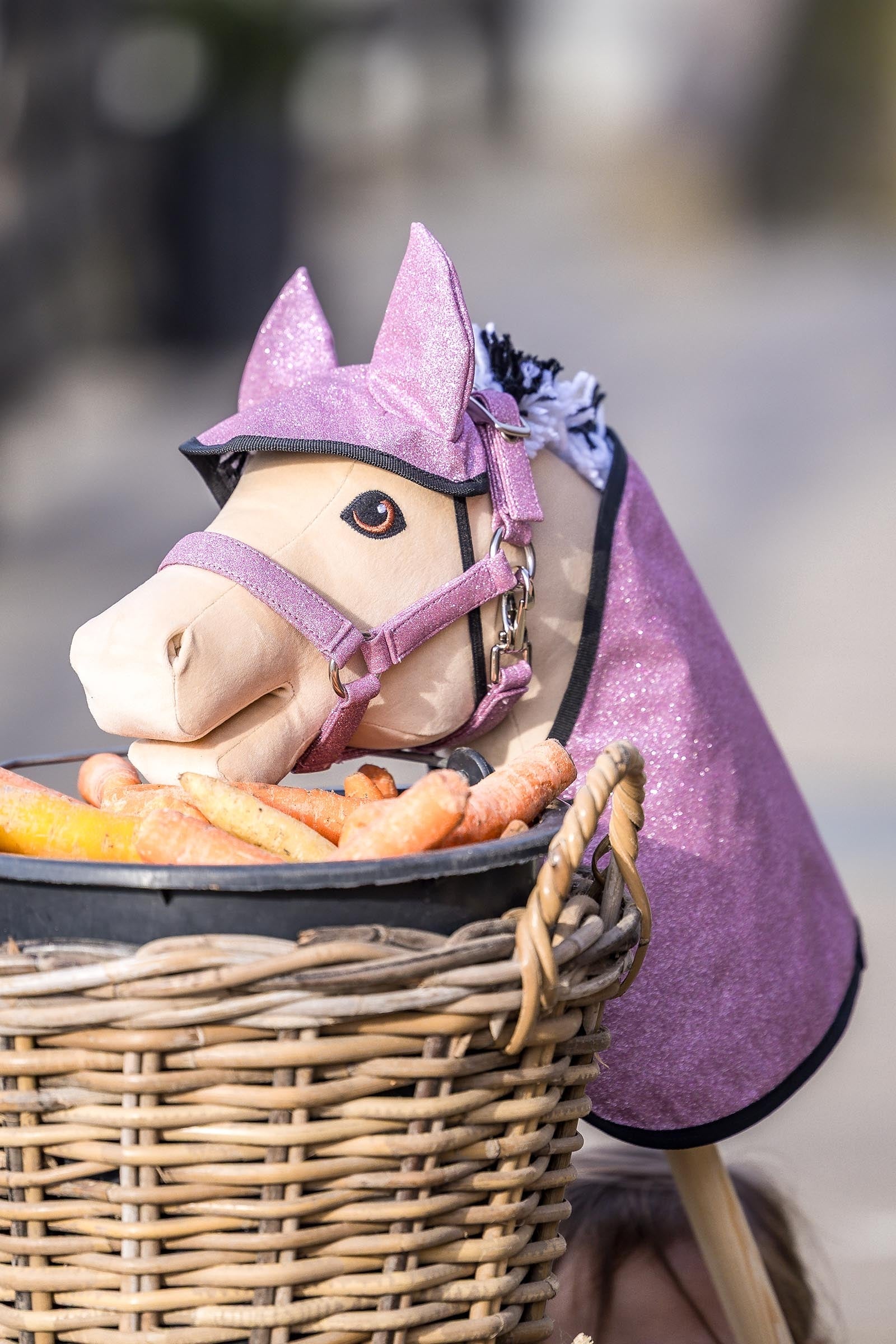 My Hobby Horse Rug & Fly Veil Gifts & Toys