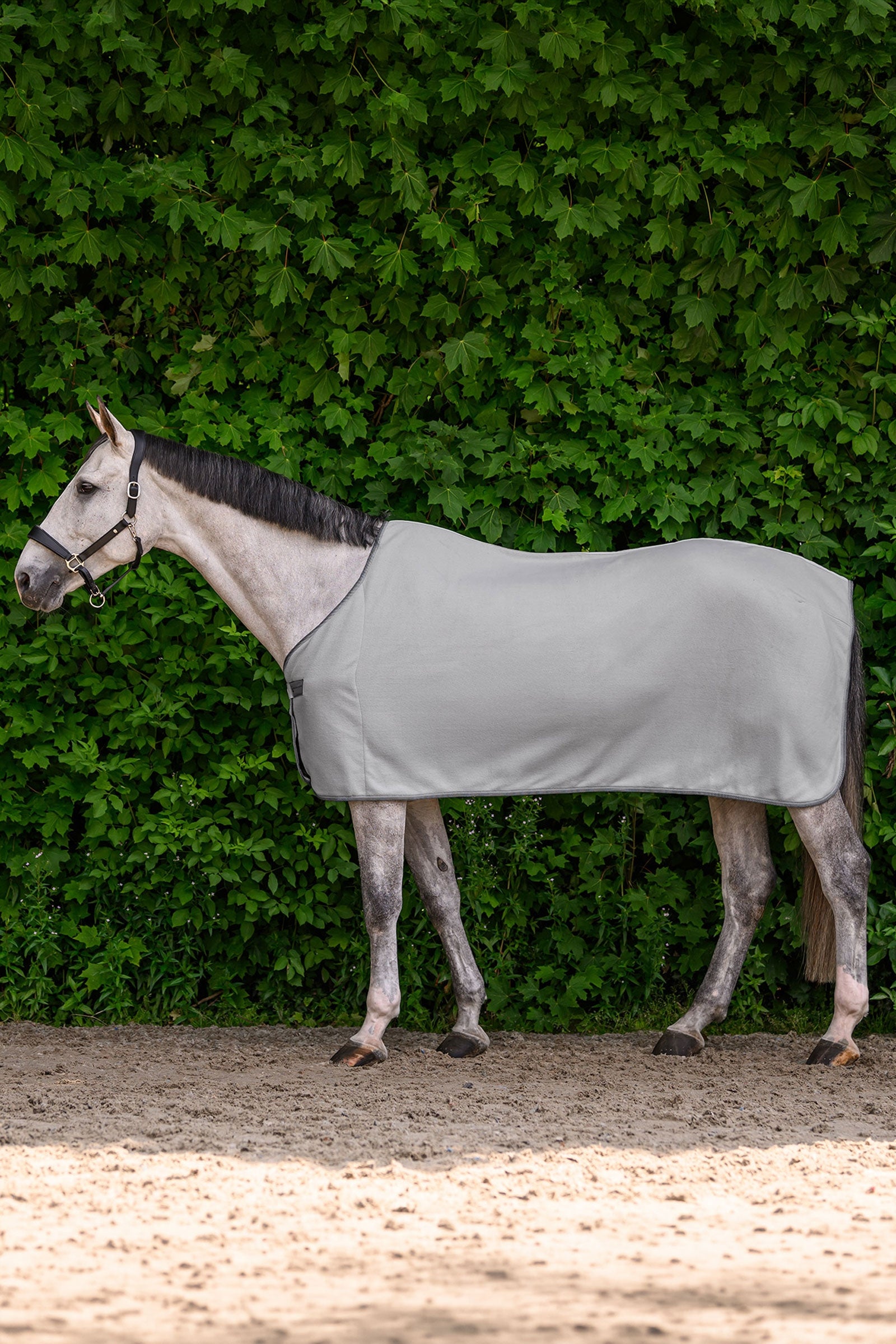 Waldhausen ECONOMIC fleecová deka Horse Rugs