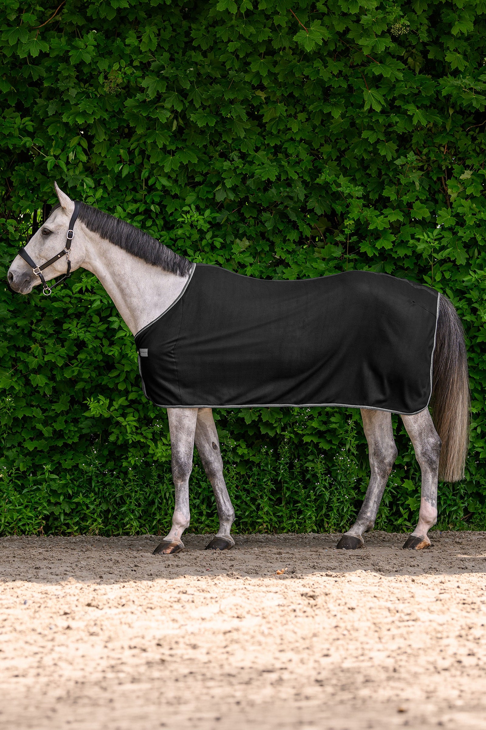 Waldhausen ECONOMIC fleecová deka Horse Rugs