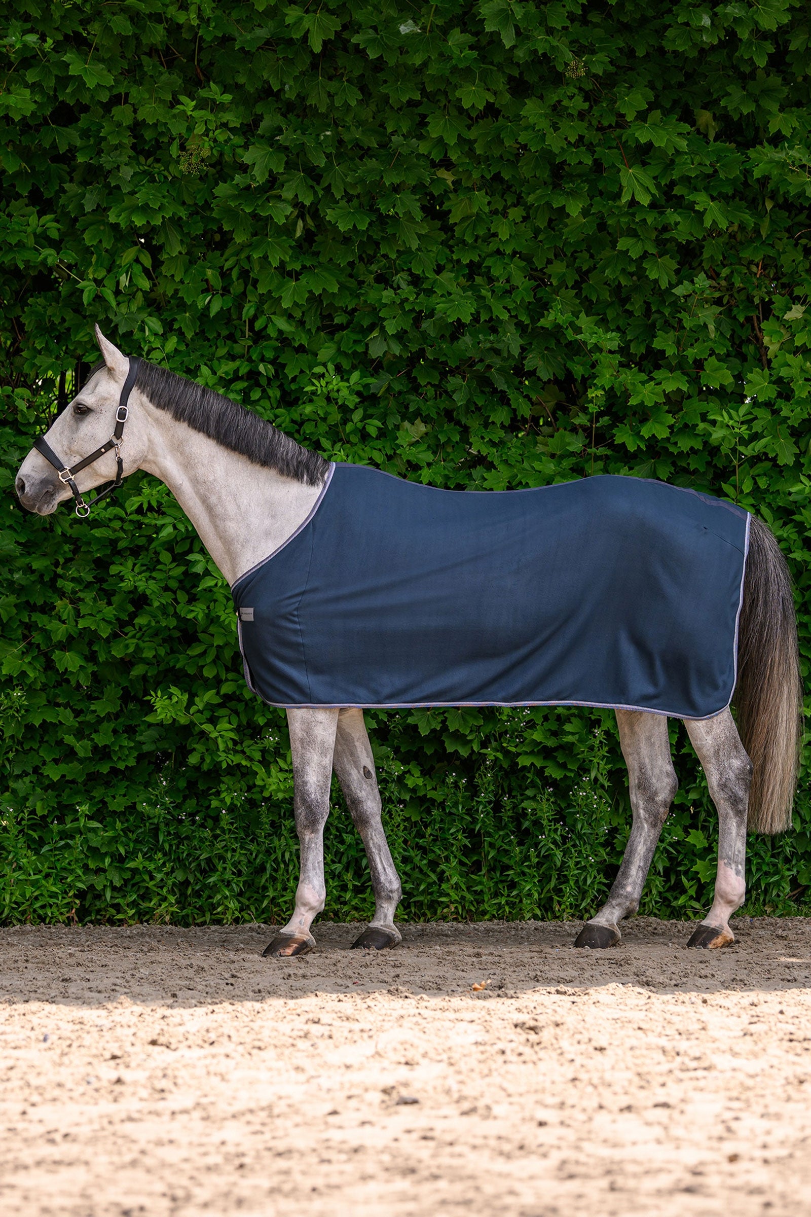 Waldhausen ECONOMIC fleecová deka Horse Rugs