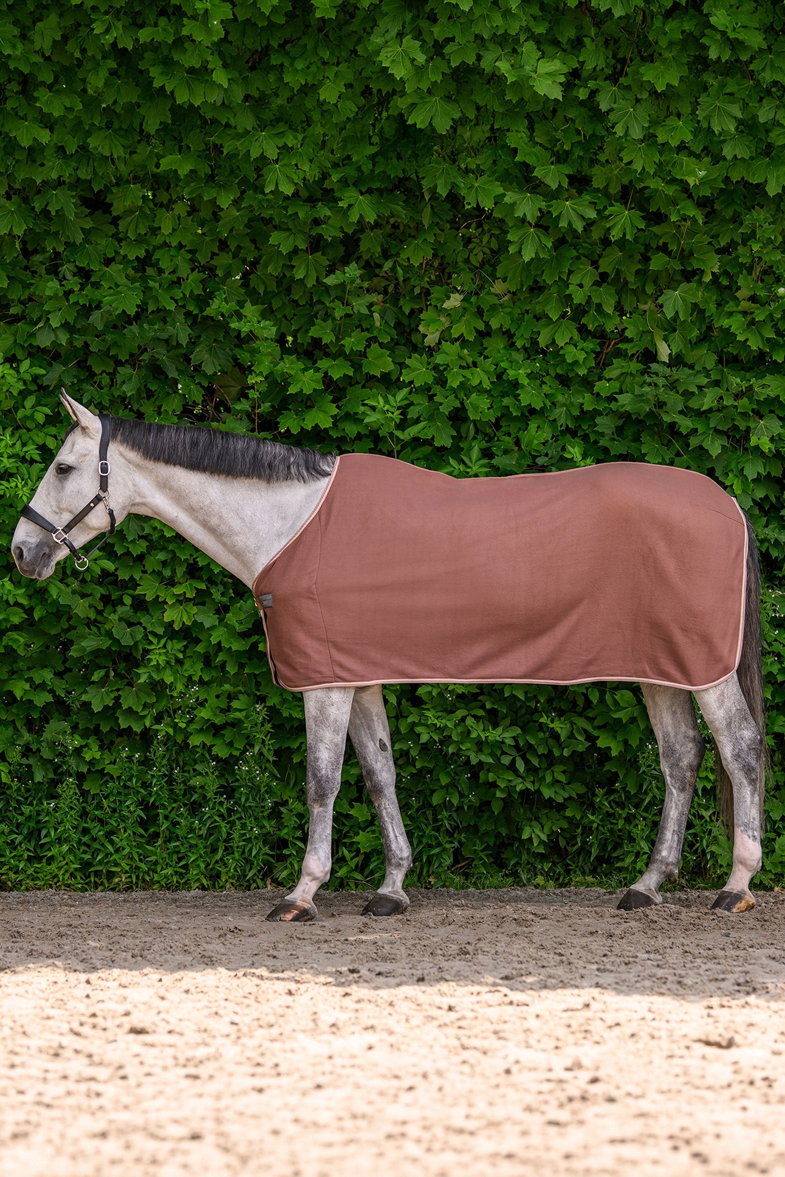 Waldhausen ECONOMIC fleecová deka Horse Rugs