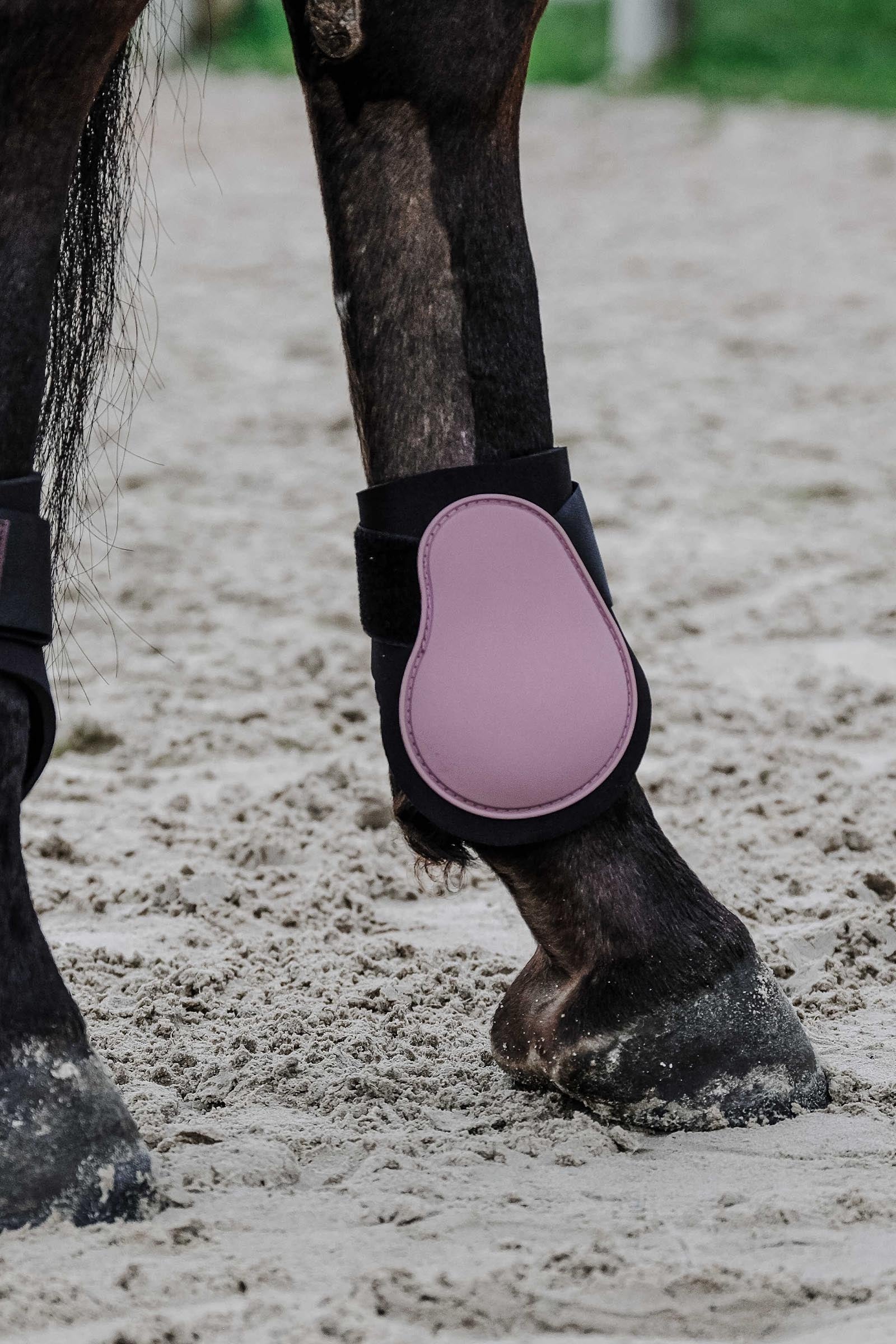 EQUITHÈME Tara Fetlock Boots Leg & Hoof Protection