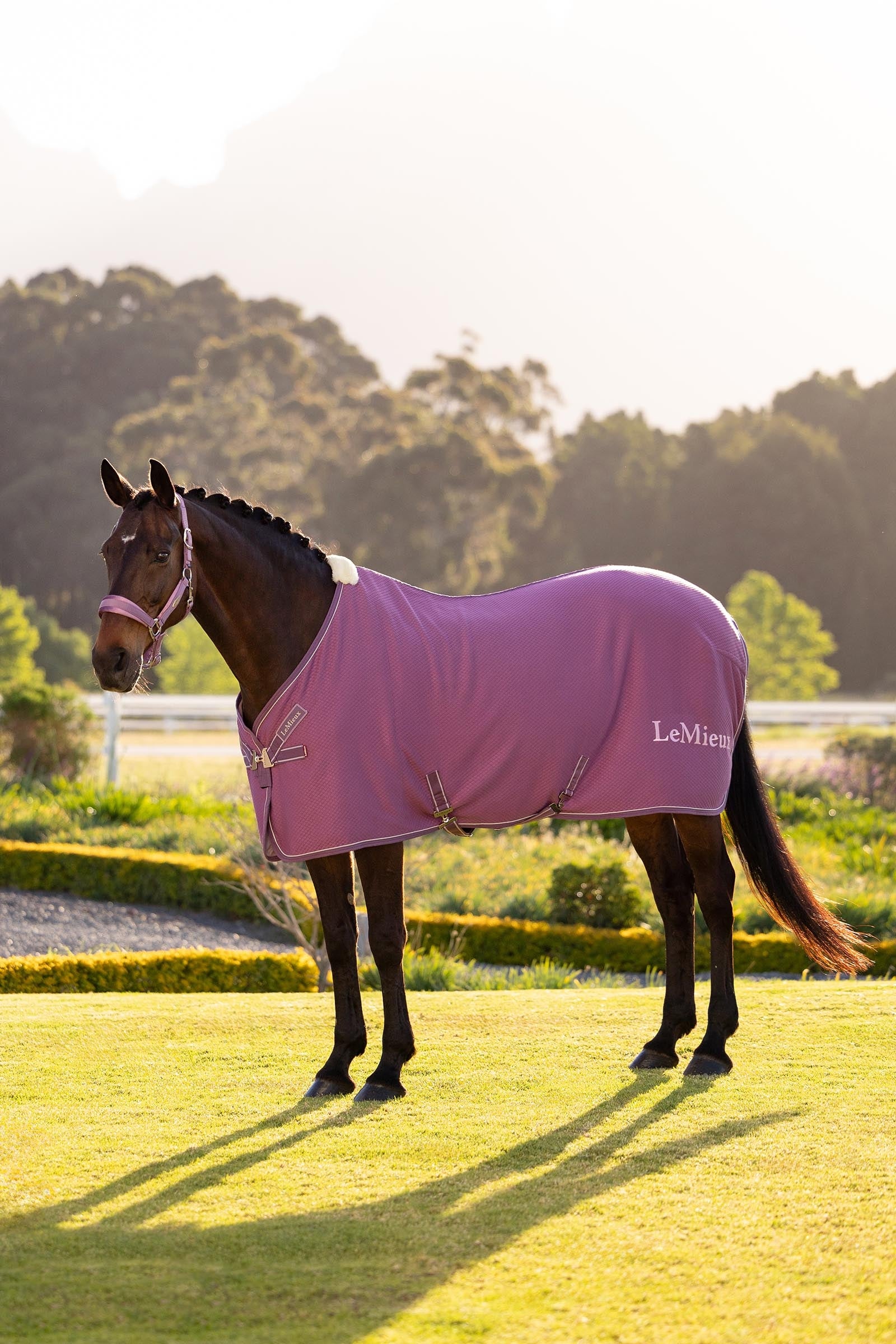 LeMieux Kudos Bambusová Absorpční deka Horse Rugs