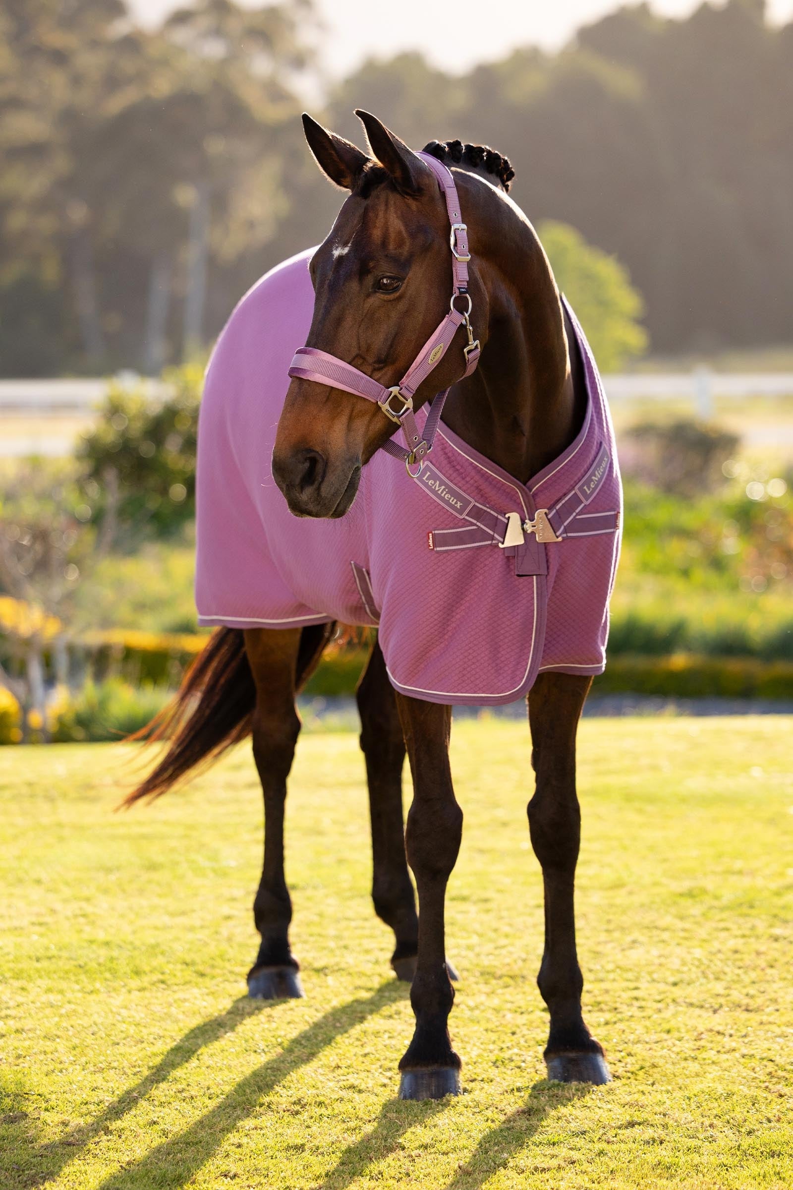 LeMieux Kudos Bamboo Cooler Horse Rugs