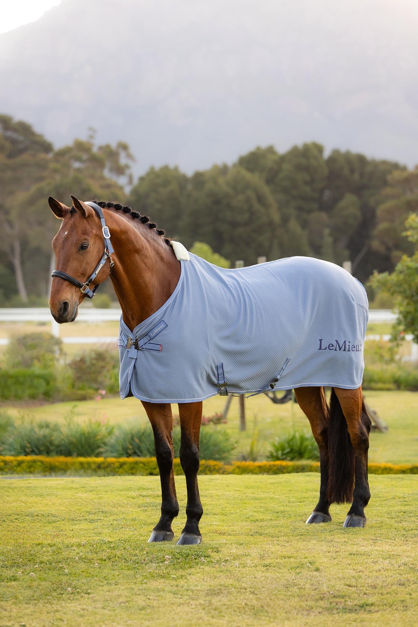 LeMieux Kudos Bambusová Absorpční deka Horse Rugs
