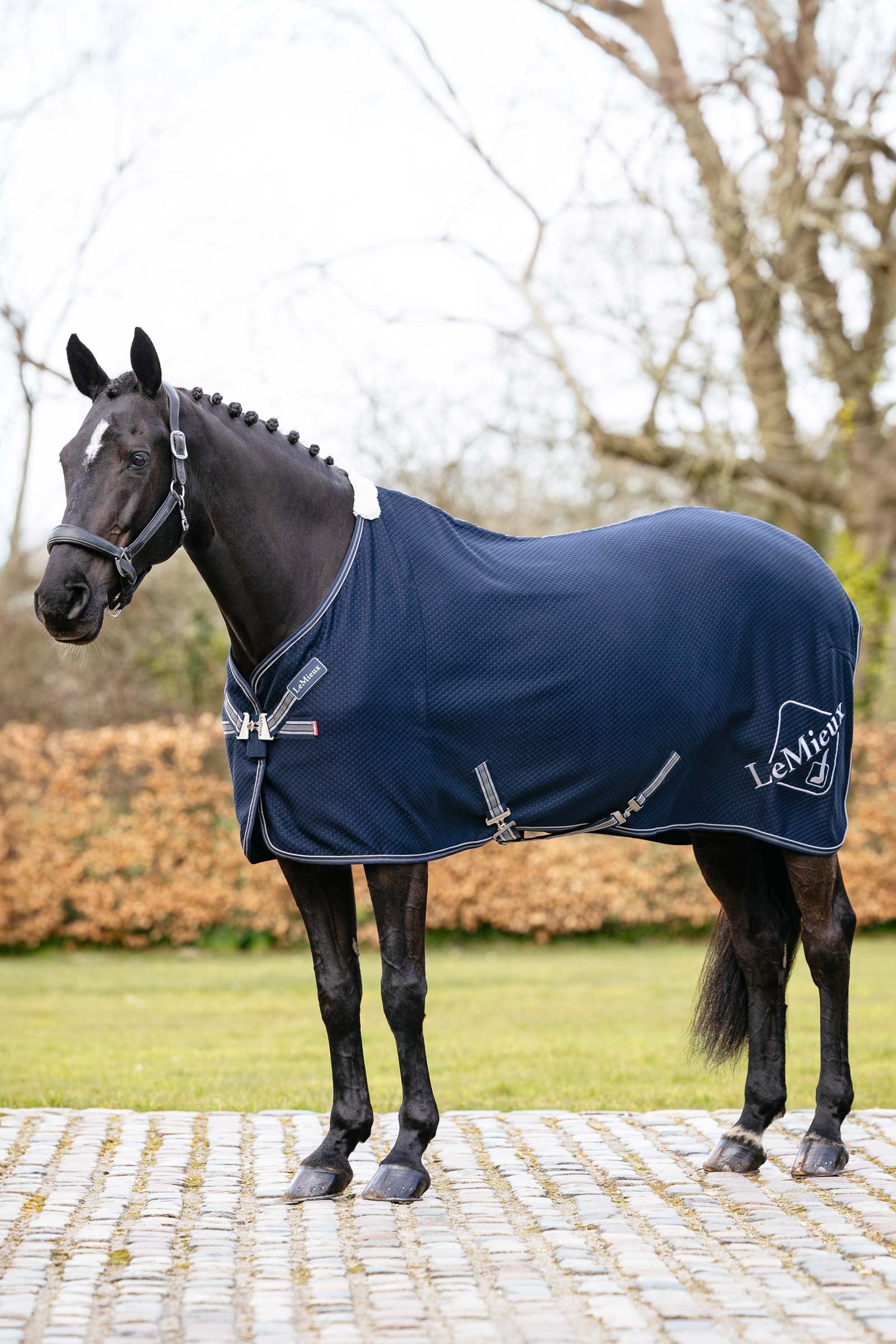 LeMieux Kudos Bambusová Absorpční deka Horse Rugs