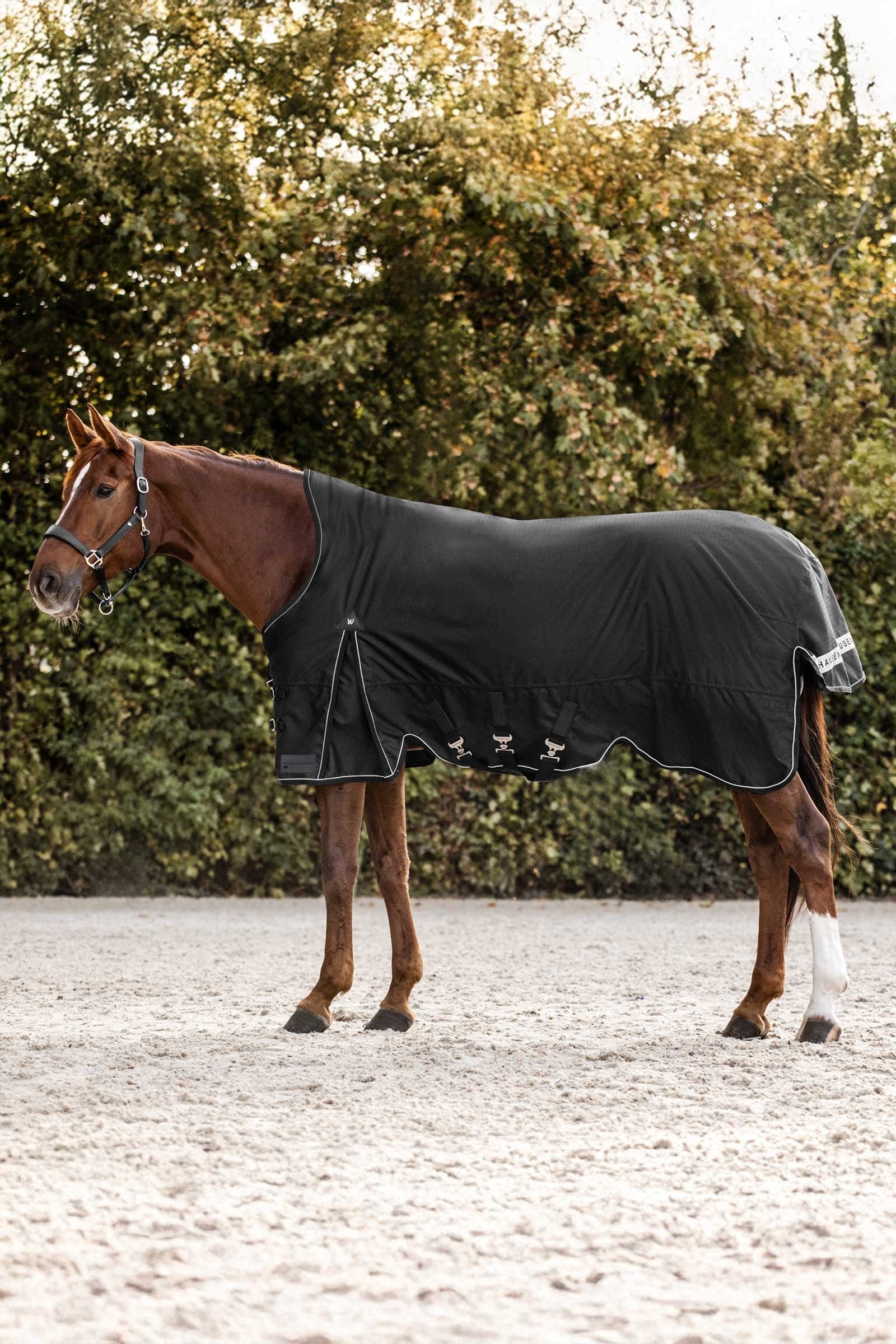 Waldhausen Scandic Výběhové deky s vysokým krkem, 200 g Horse Rugs