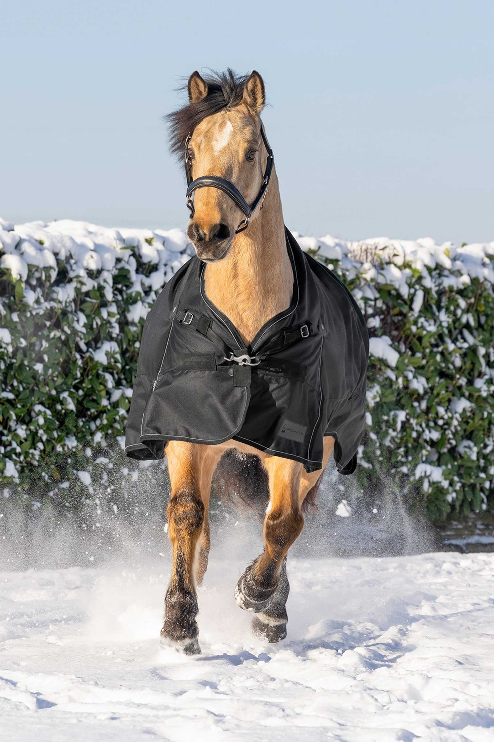 Waldhausen Scandic Turnout Rug With High Neck, 200g Horse Rugs